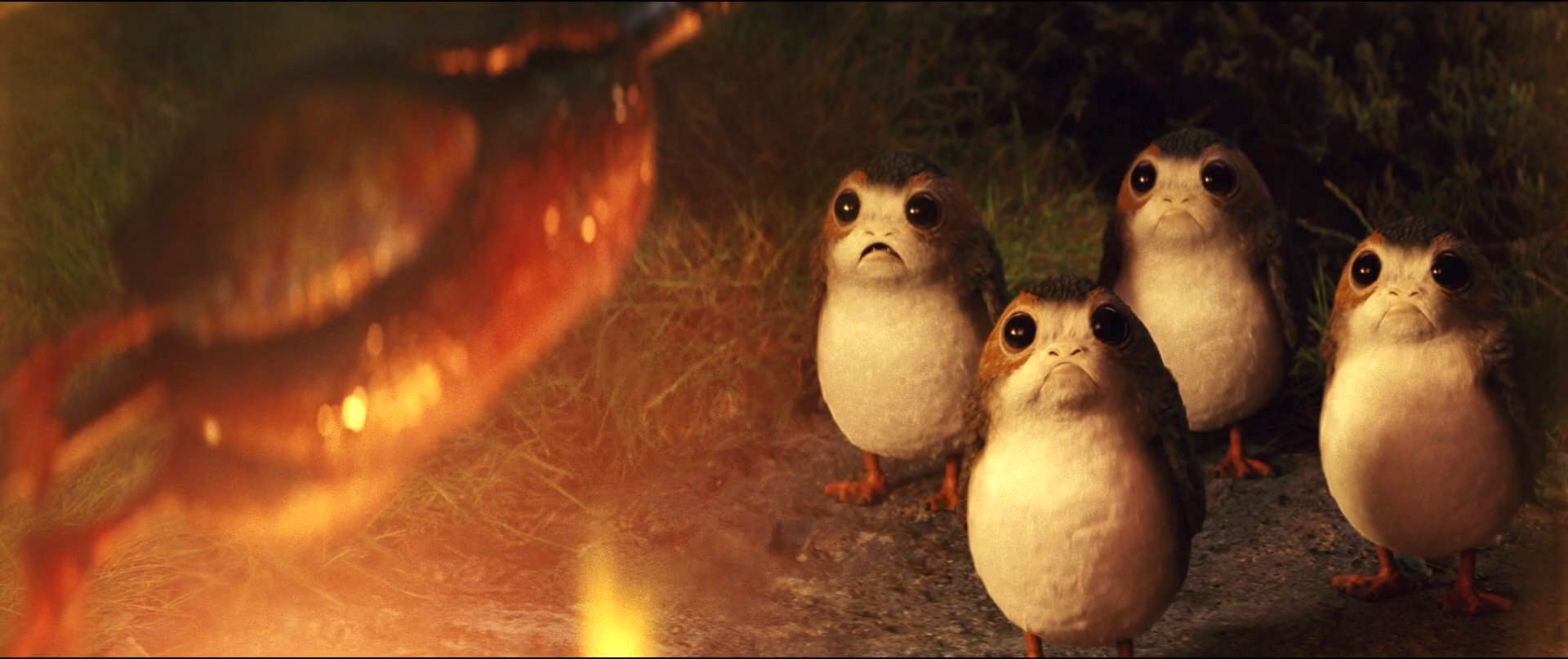 the last jedi - porgs and chewbacca eating a porg