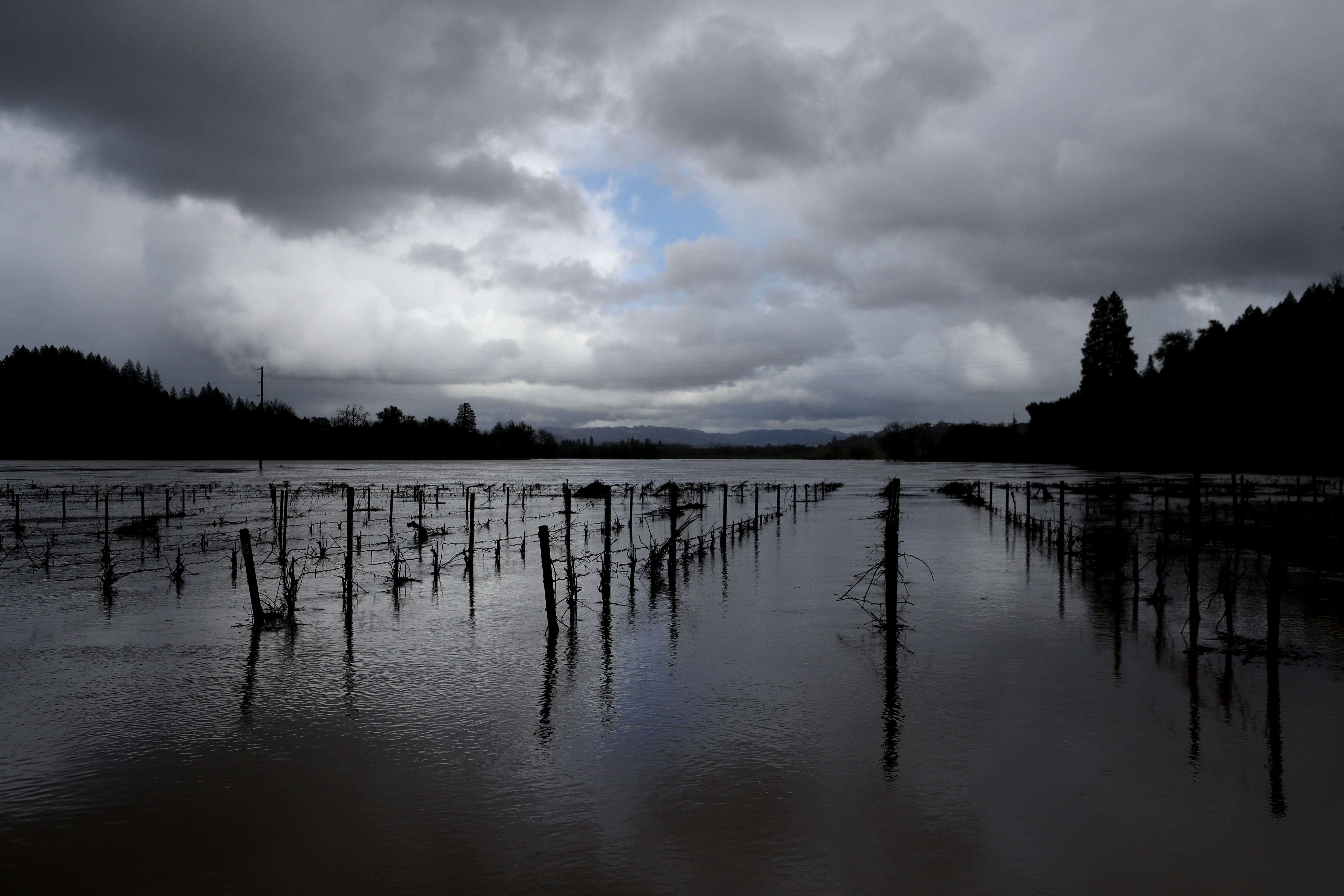 Heavy Rains Bring California’s Russian River To Flood Stage