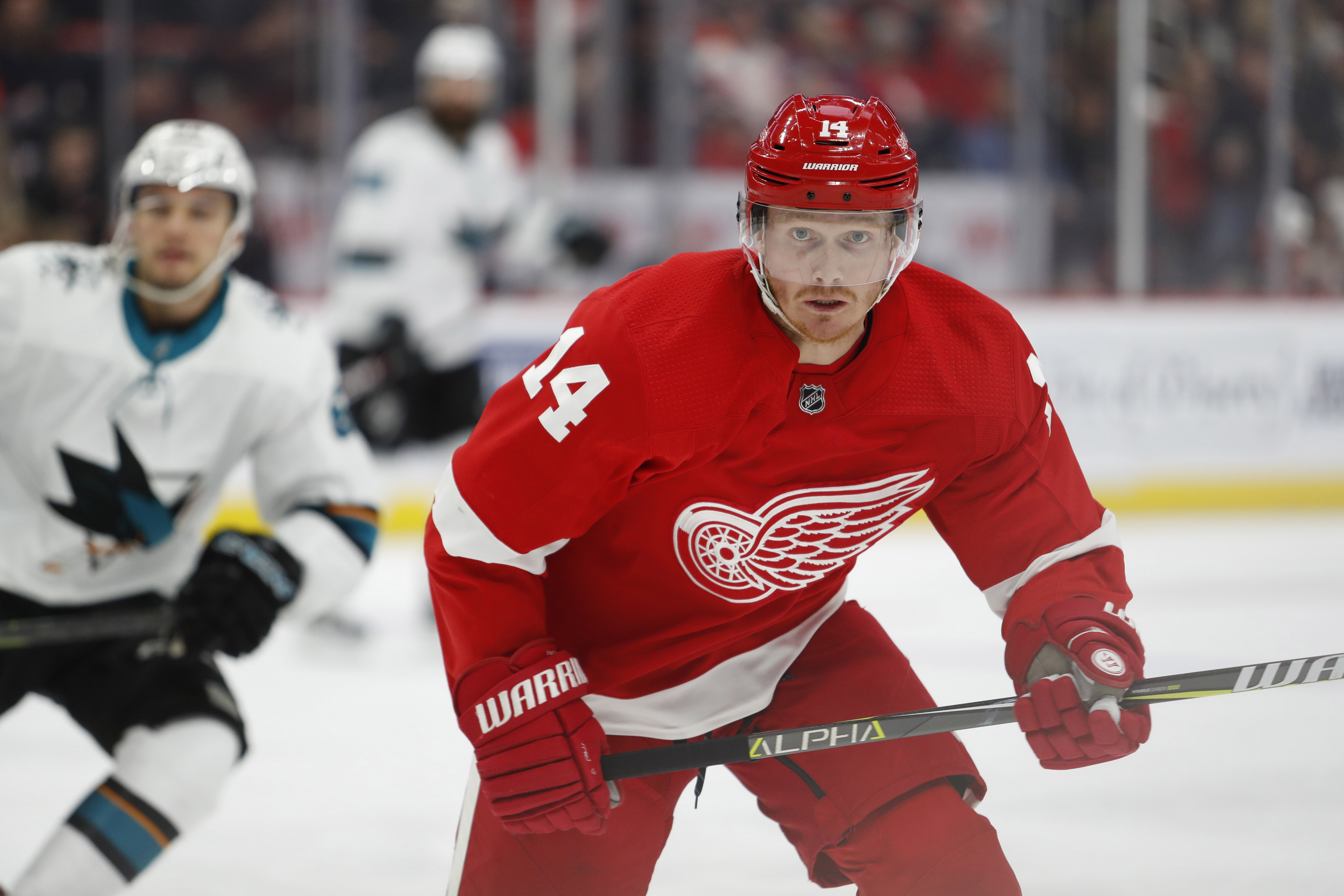 Detroit Red Wings right wing Gustav Nyquist (14) looks on from the ice during the third period against the San Jose Sharks at Little Caesars Arena.