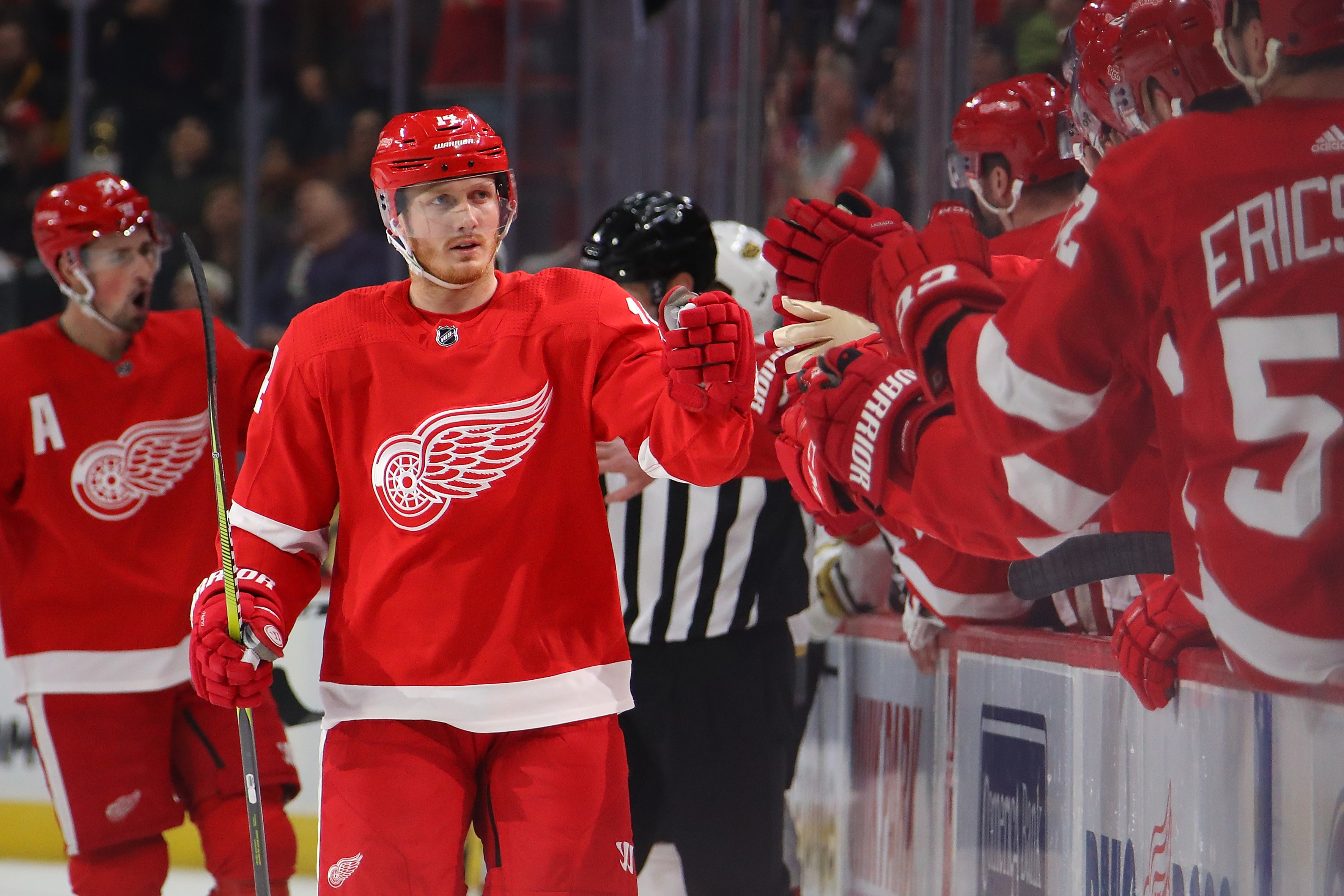 DETROIT, MICHIGAN - FEBRUARY 07: Gustav Nyquist #14 of the Detroit Red Wings celebrates his first period goal with teammates while playing the Vegas Golden Knights at Little Caesars Arena on February 07, 2019 in Detroit, Michigan.