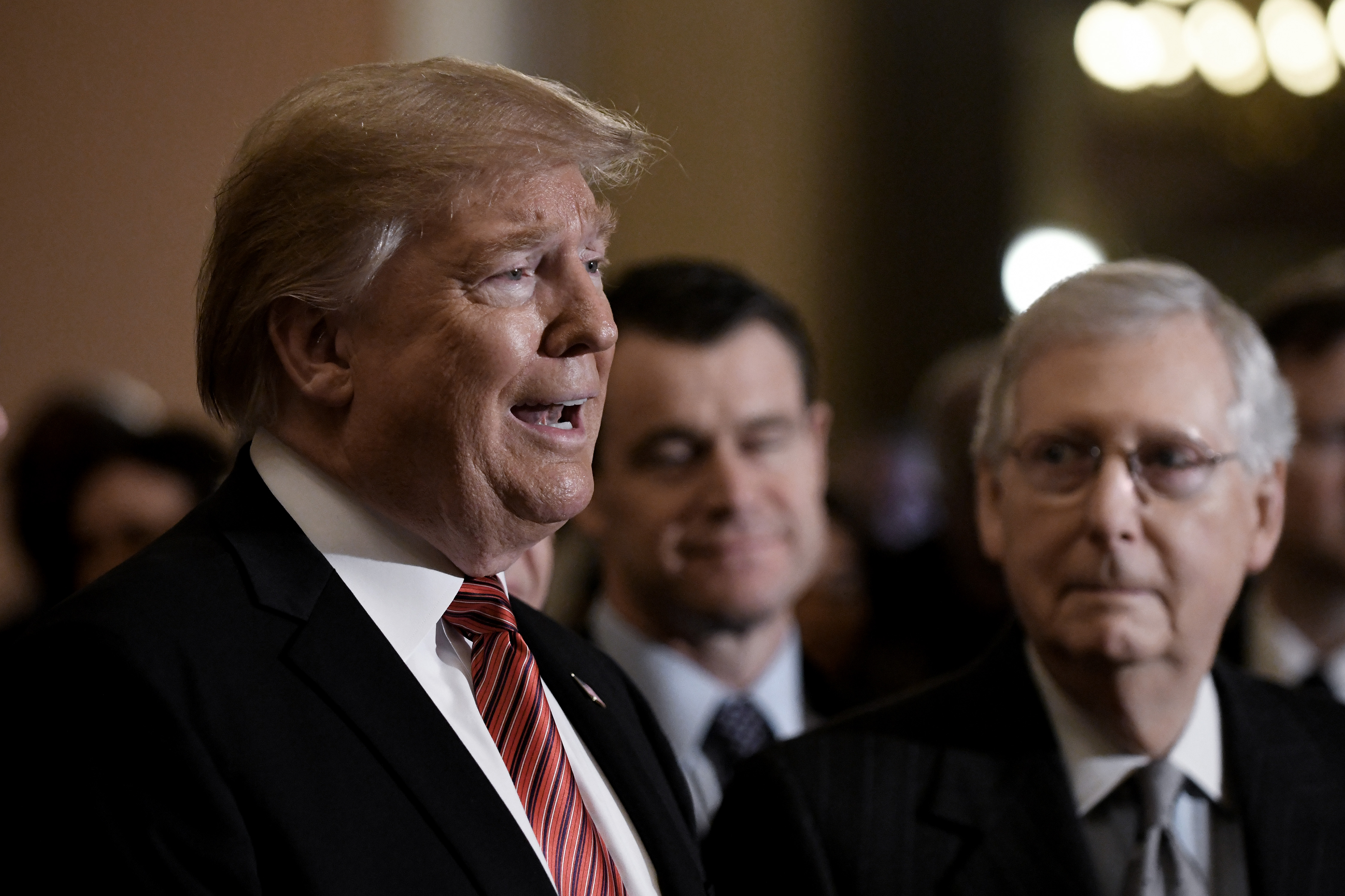 President Donald Trump talks to the press as Senate Majority Leader Mitch McConnell (R-KY) looks on.