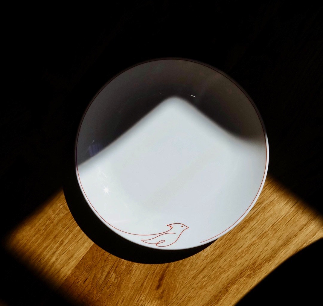 A white plate on a table with a hand-sketch of a cardinal