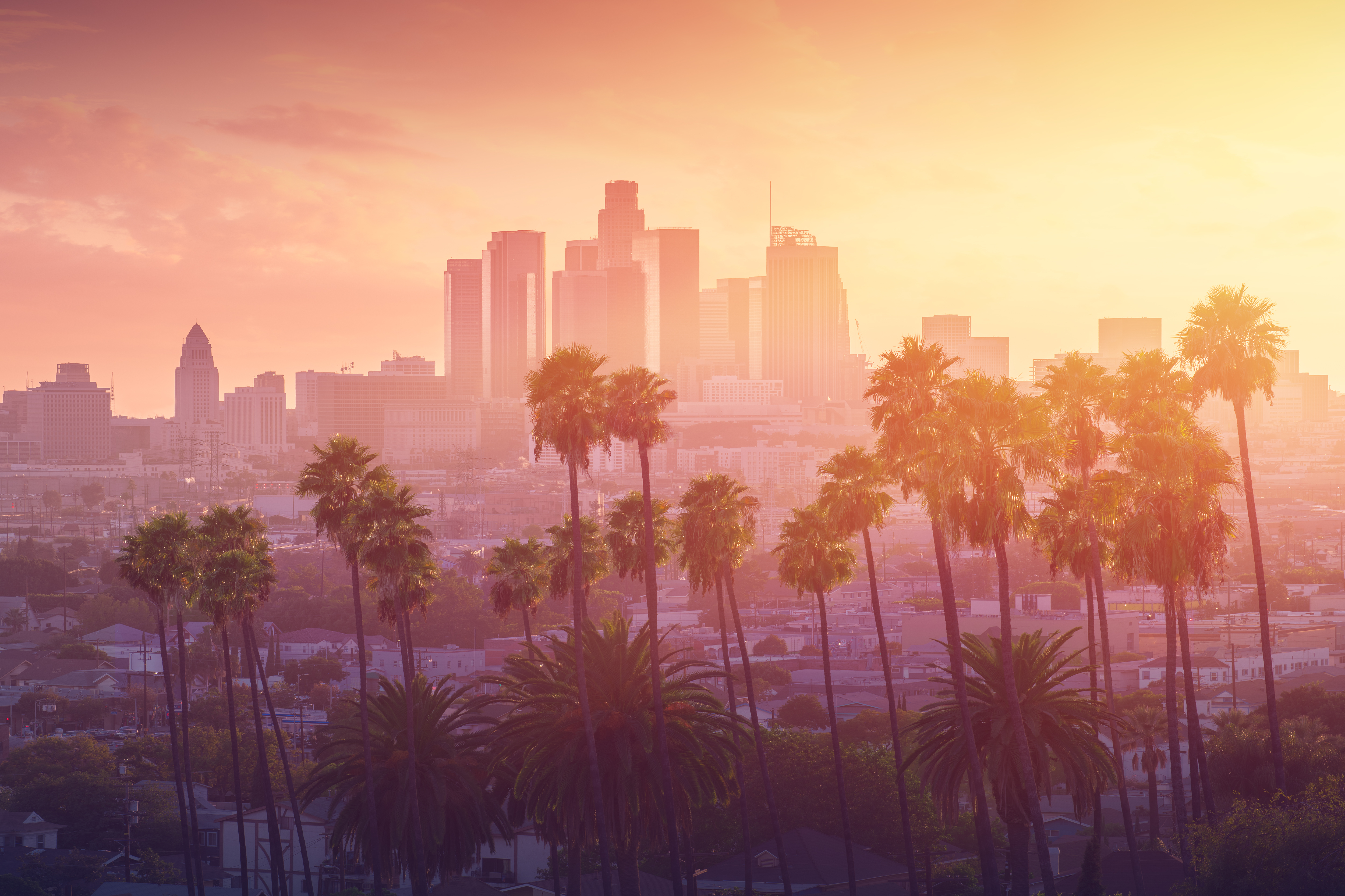 A distant view of the Los Angeles skyline, fronted by a row of palm trees. Sunset casts a gradient of yellow, pink, and purple over the scene. 