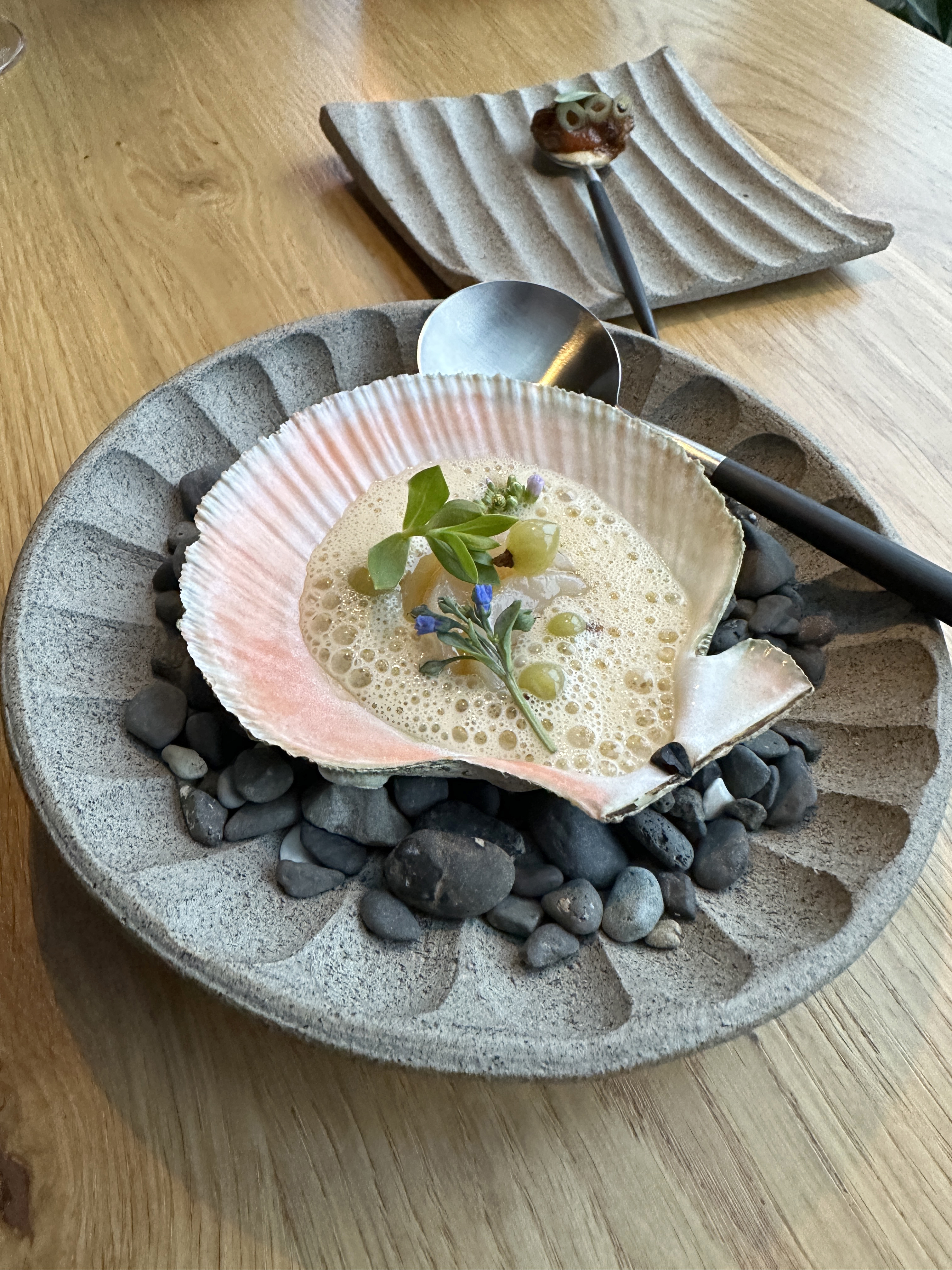 A seafood emulsion presented in a large decorative shell fringed with pink.