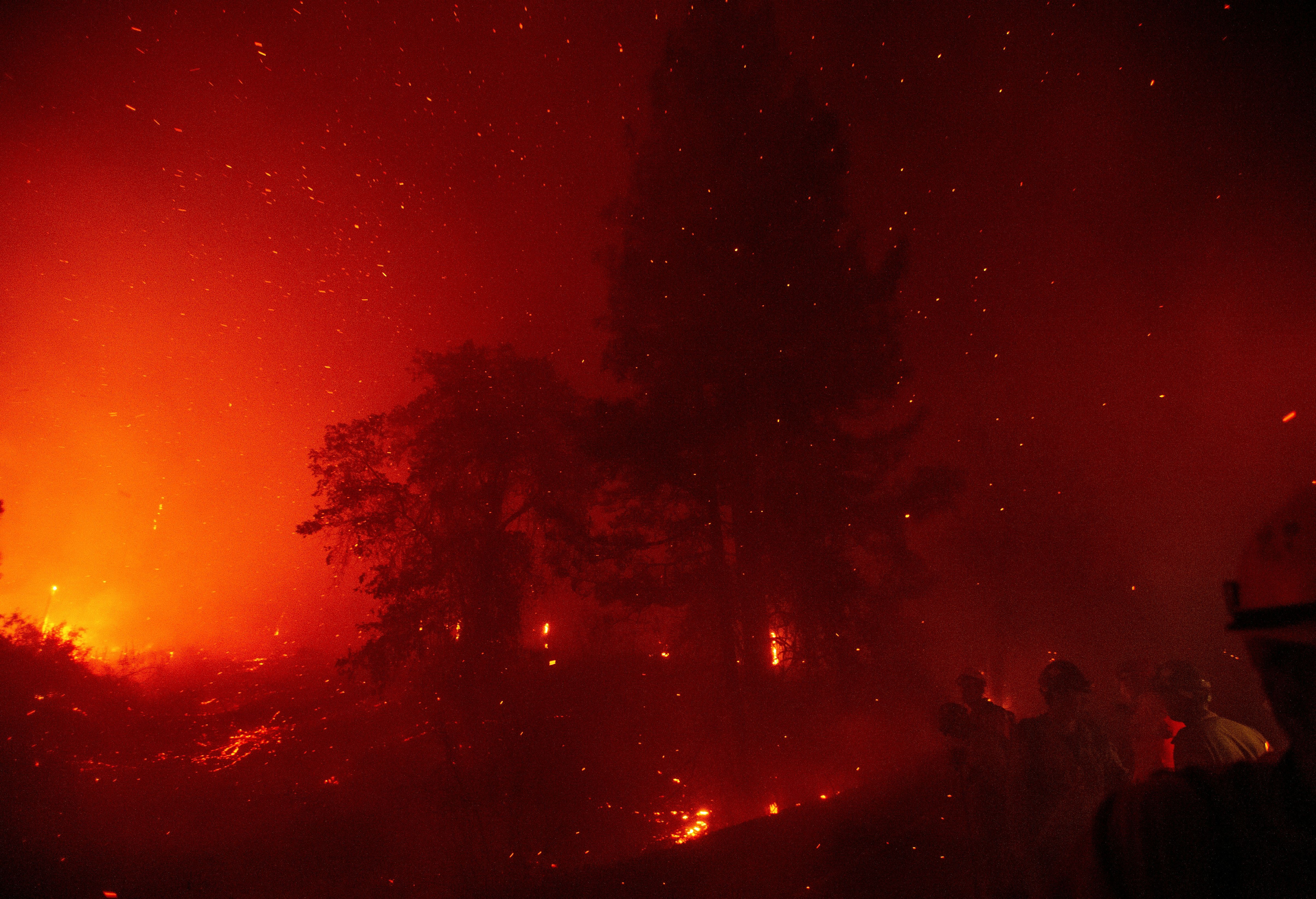 Bright red and orange flames illuminate the smoke and trunks of trees in a forest fire.