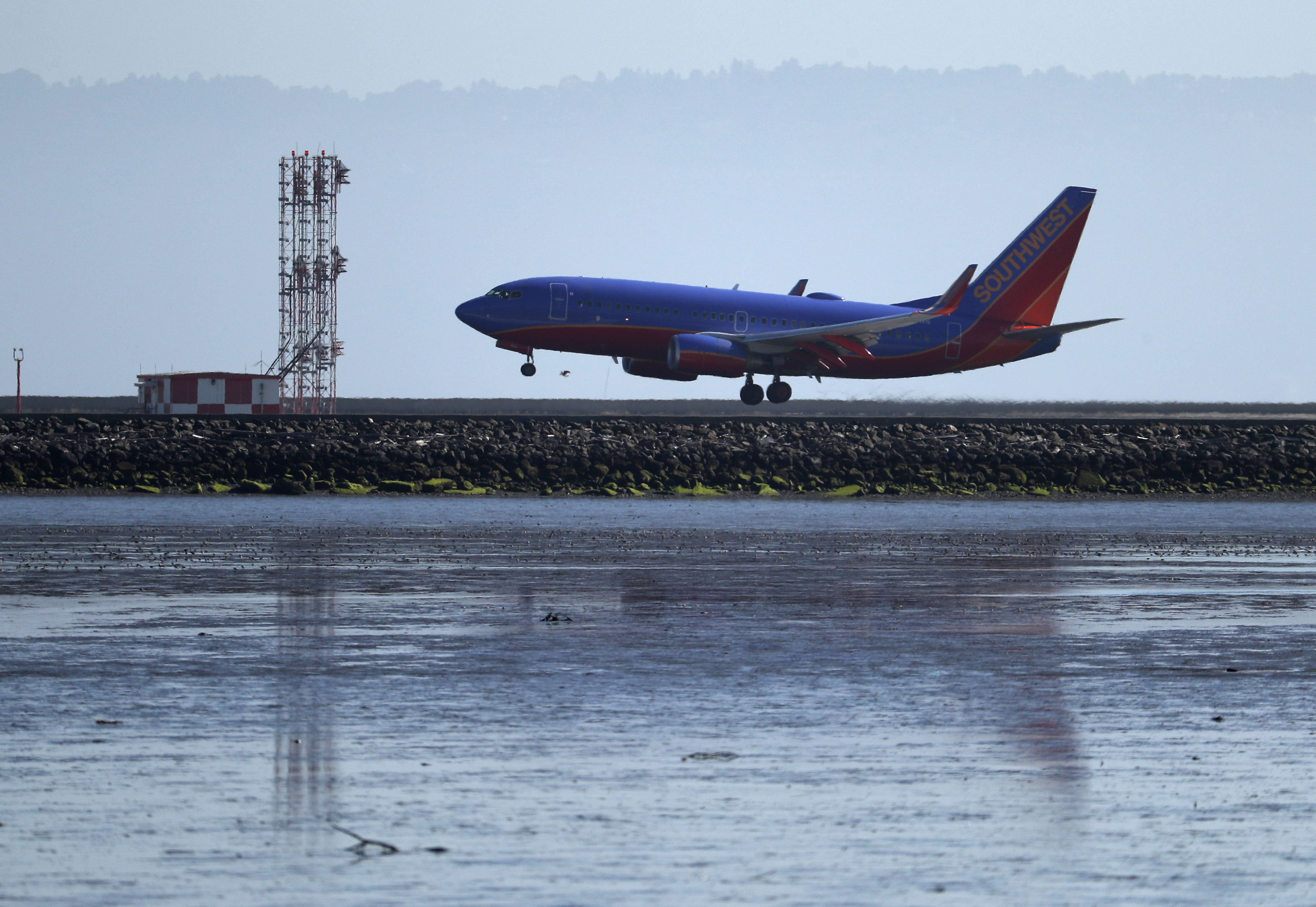 A Boeing 737 plane on the runway at San Francisco International Airport, seen in profile.