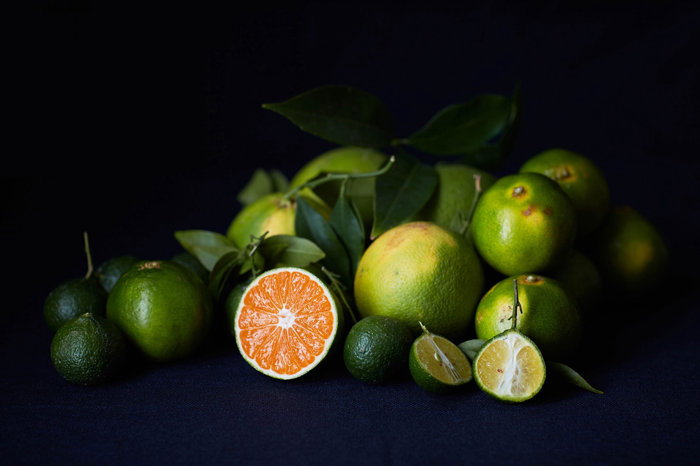 Green citrus fruits on a black background