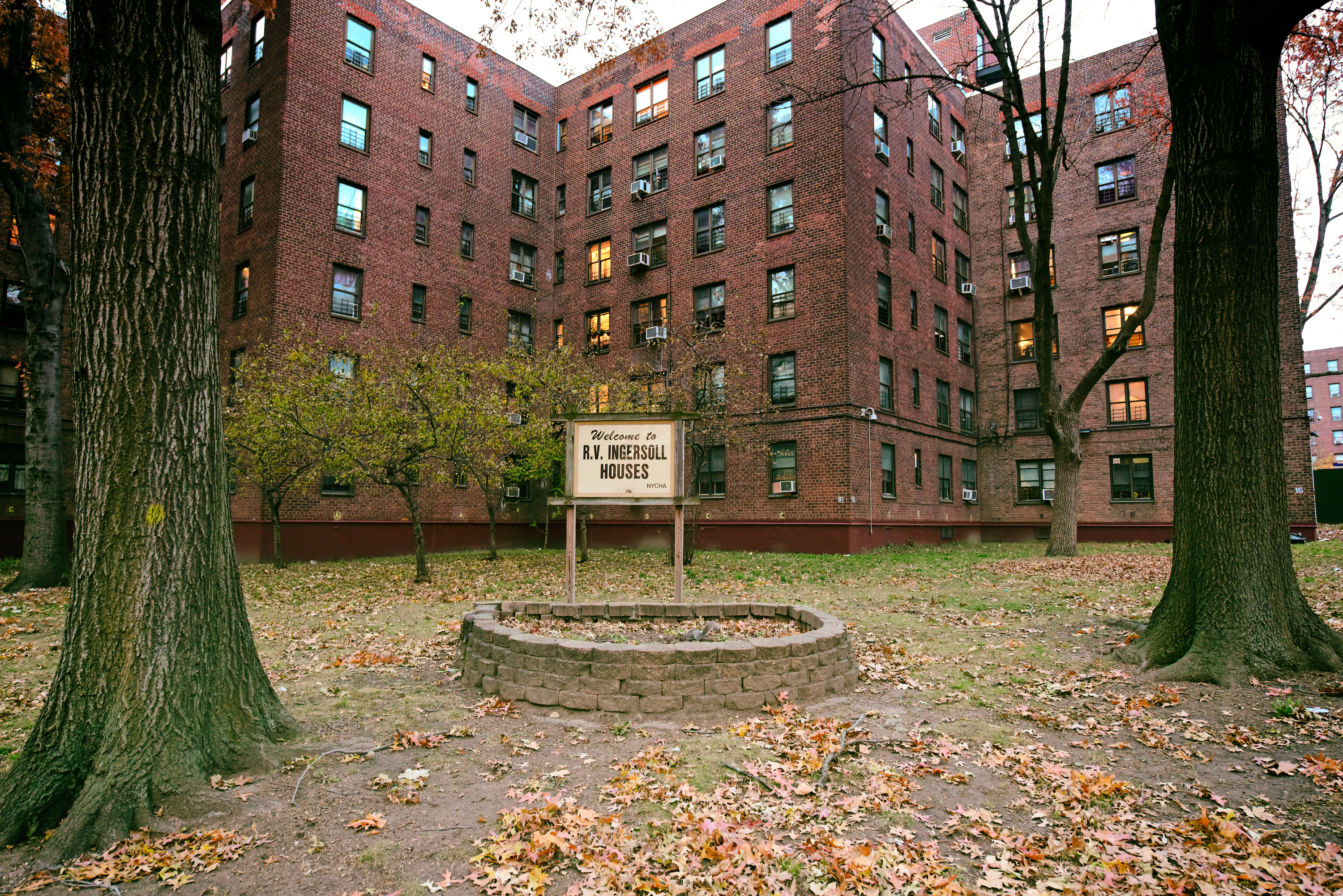 A six-story brick NYCHA building surrounded by trees and an “Ingersoll Houses” sign
