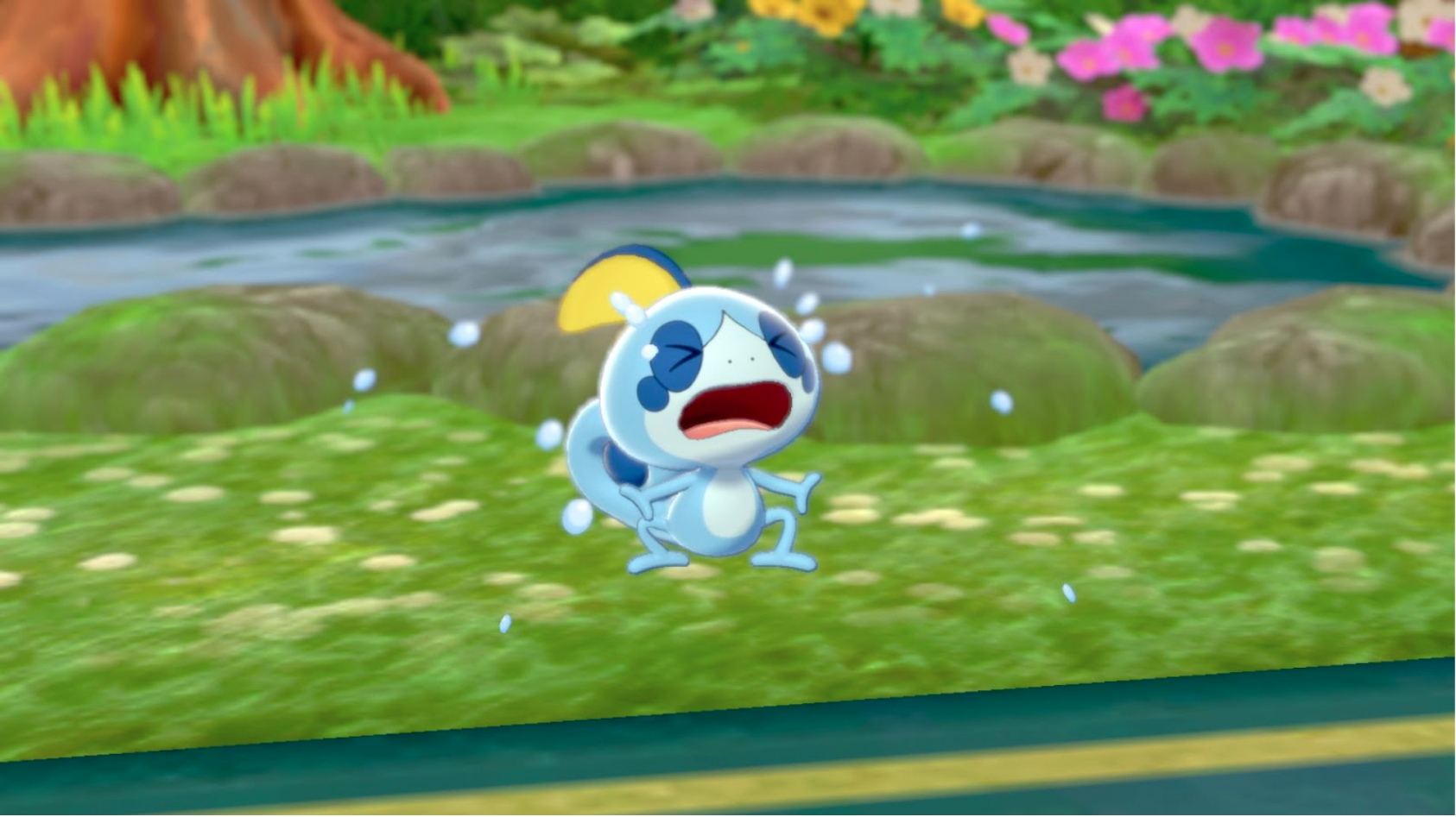 A screenshot of Sobble crying in Pokémon Sword/Shield