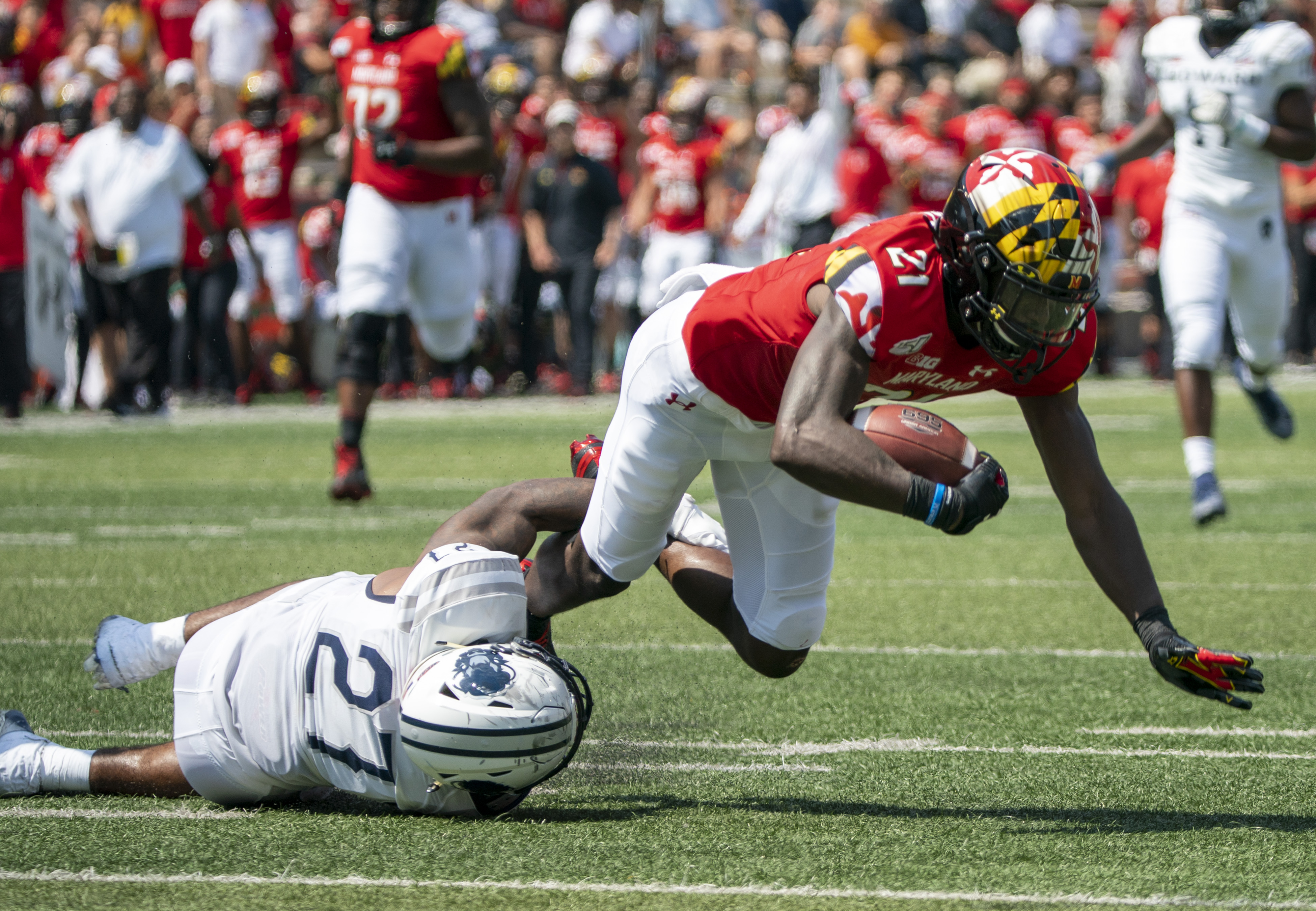 COLLEGE FOOTBALL: AUG 31 Howard at Maryland