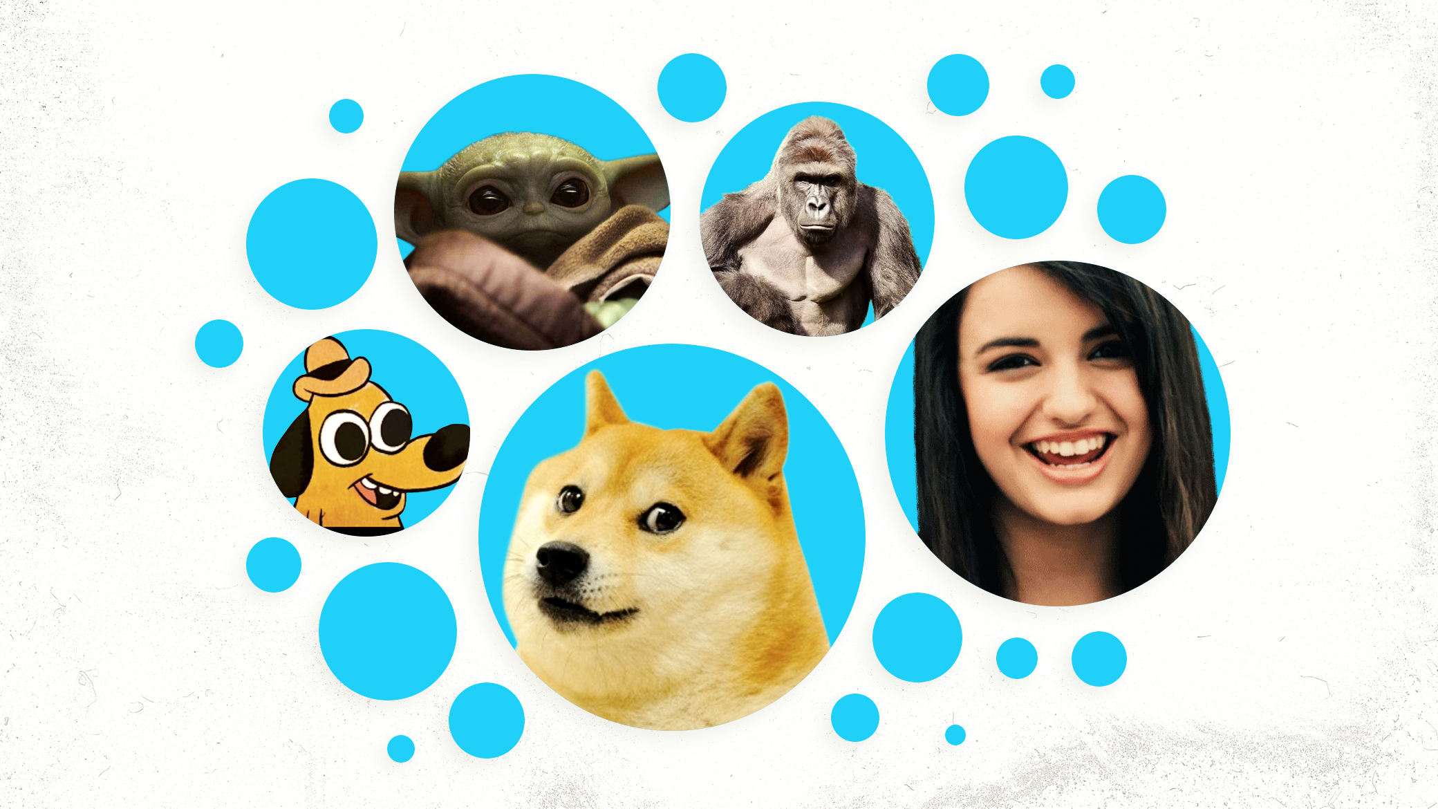 Collage of memes including doge and Rebecca Black