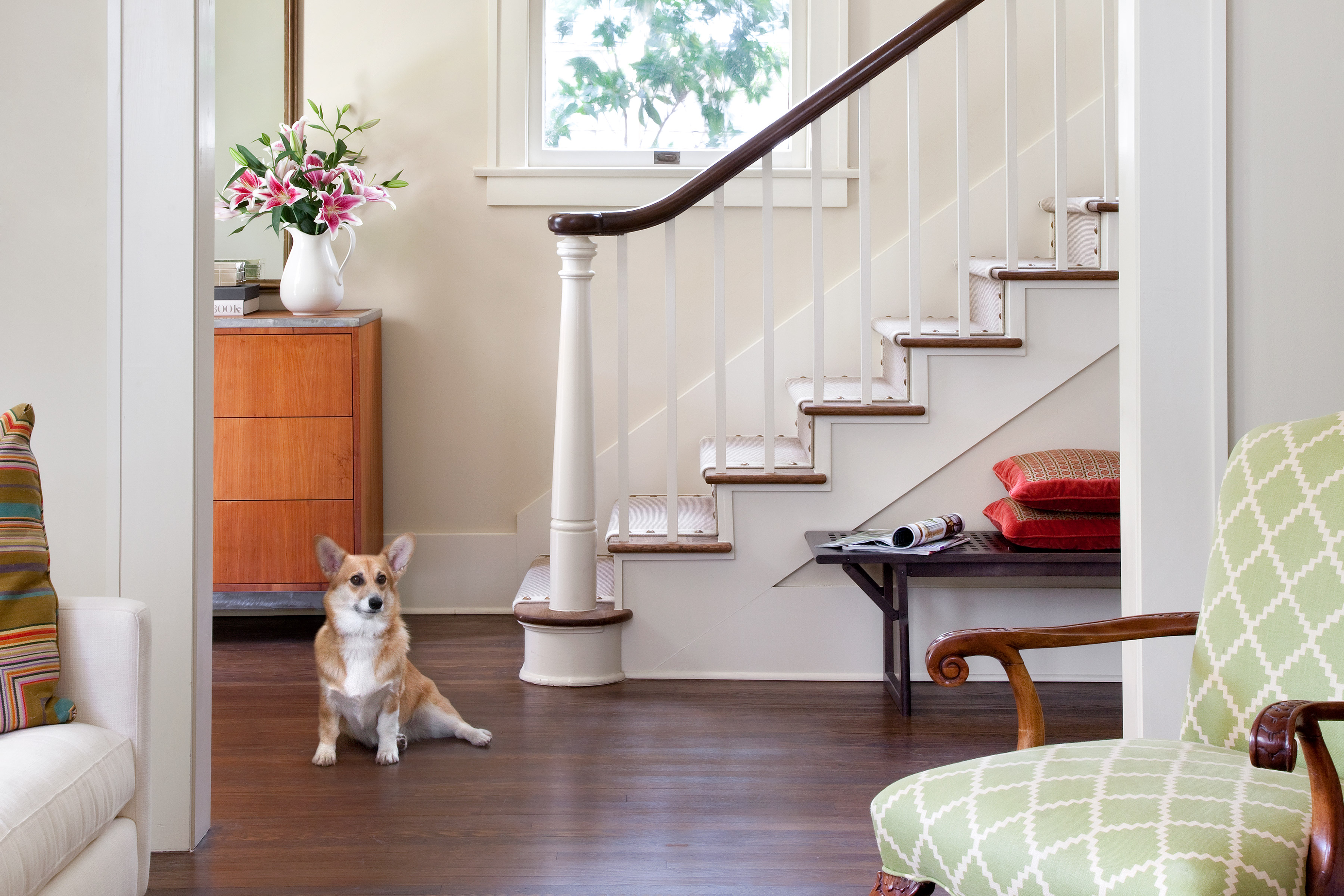 A staircase with a dog sitting on the floor
