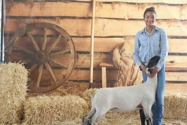 Zaria Schaffer, a sophomore at Denver Online High School, poses with her lamb Leroy.