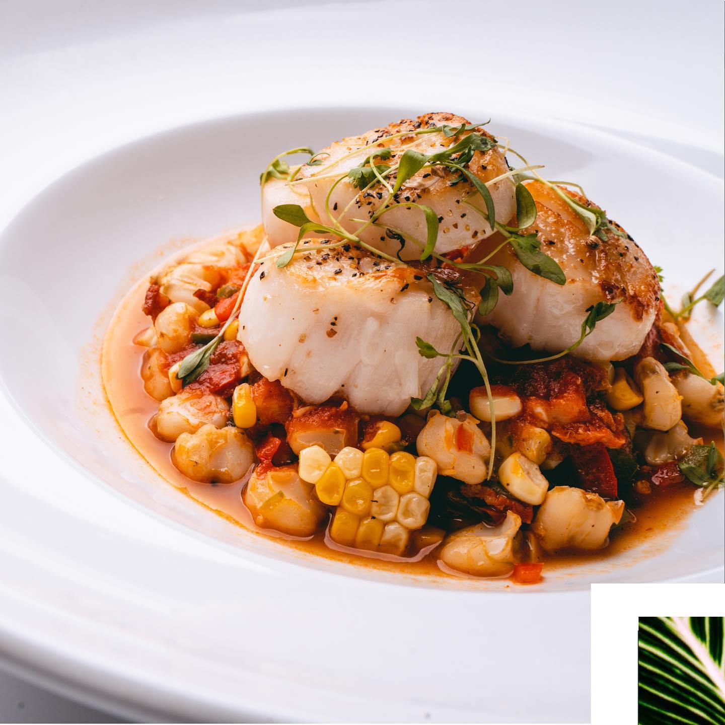 A dish of corn, mixed vegetables topped with three seared scallops