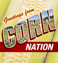 Original Corn Nation Logo