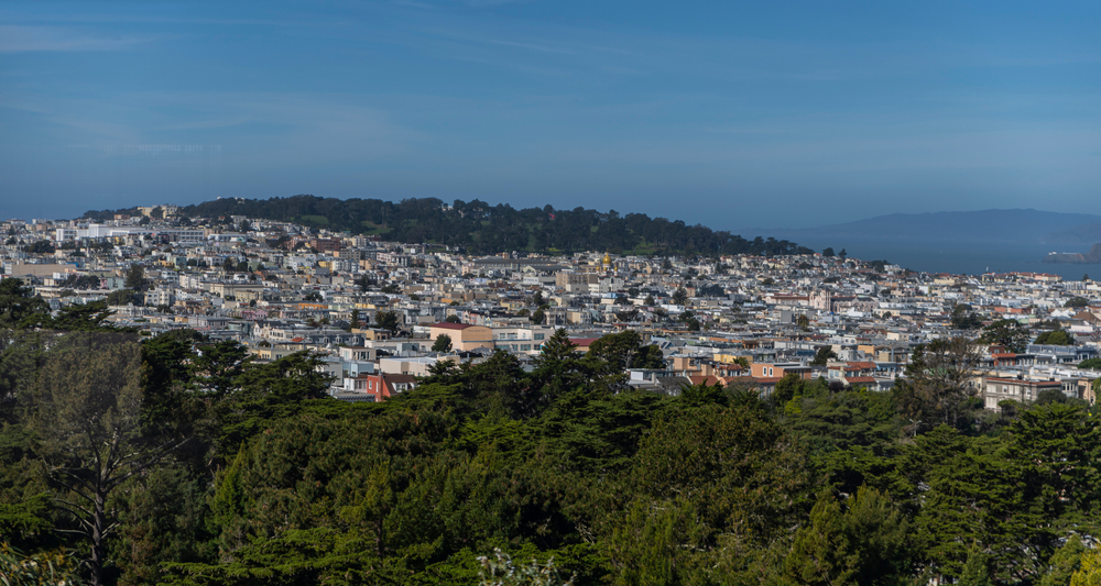 An aerial photo of rooftops in SF, with a line of trees visible in the foreground and a forested hilltop in the distance.