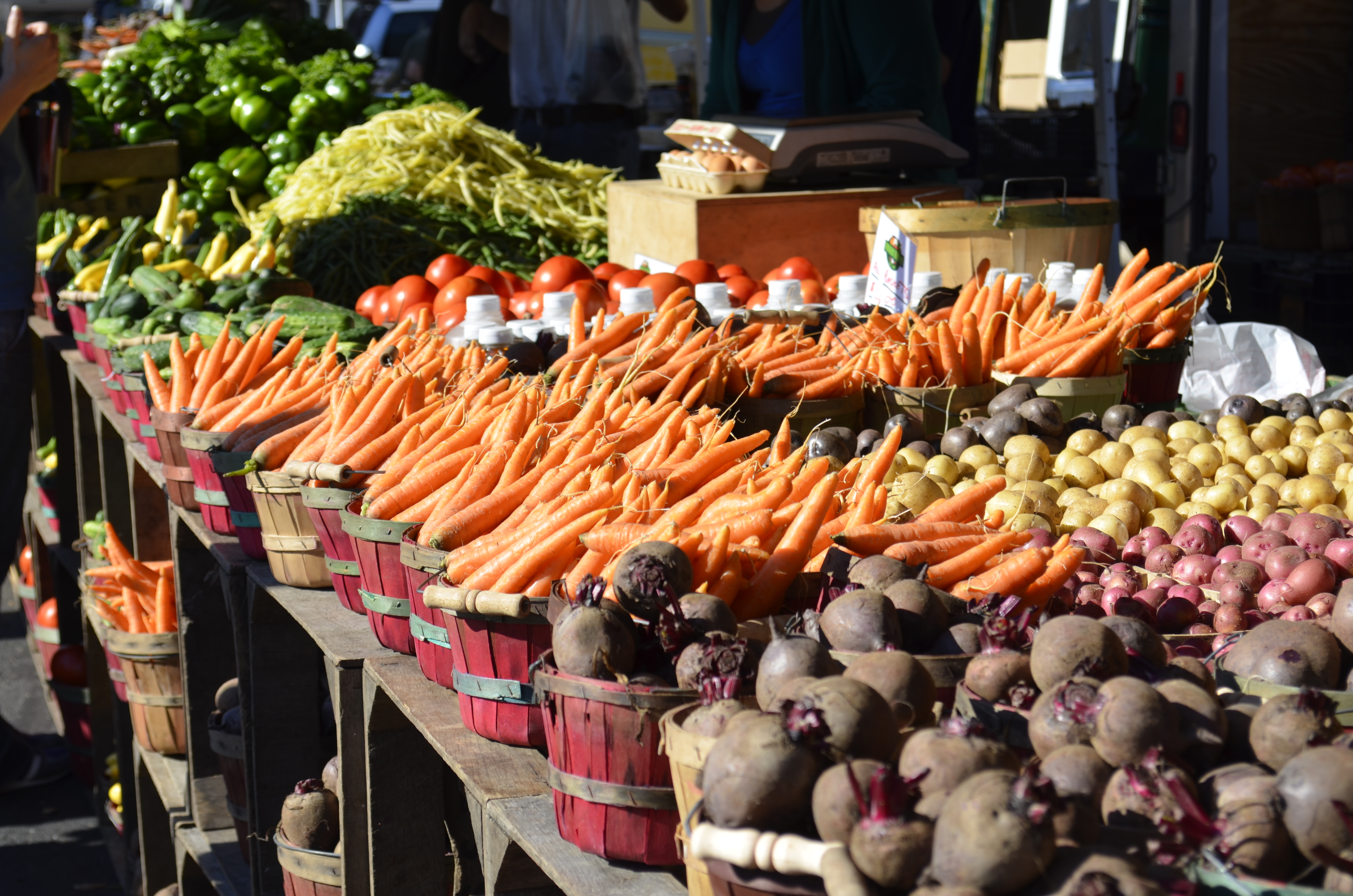 Baskets of carrots, potatoes, and other vegetables at a farmers market