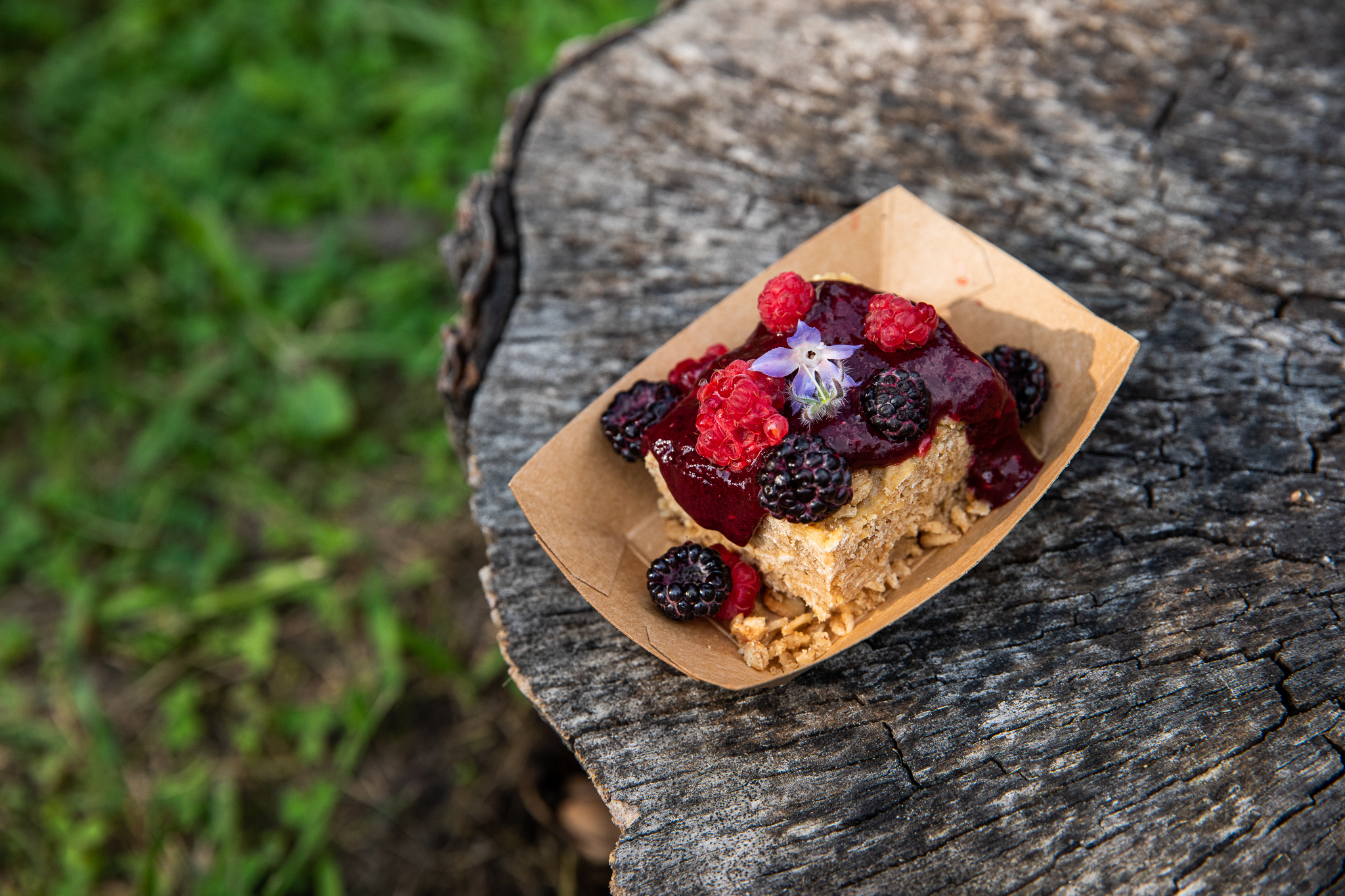 A brown paper boat filled with a slice of cake covered in fruit compote and whole raspberries and blackberries sits on a tree stump.