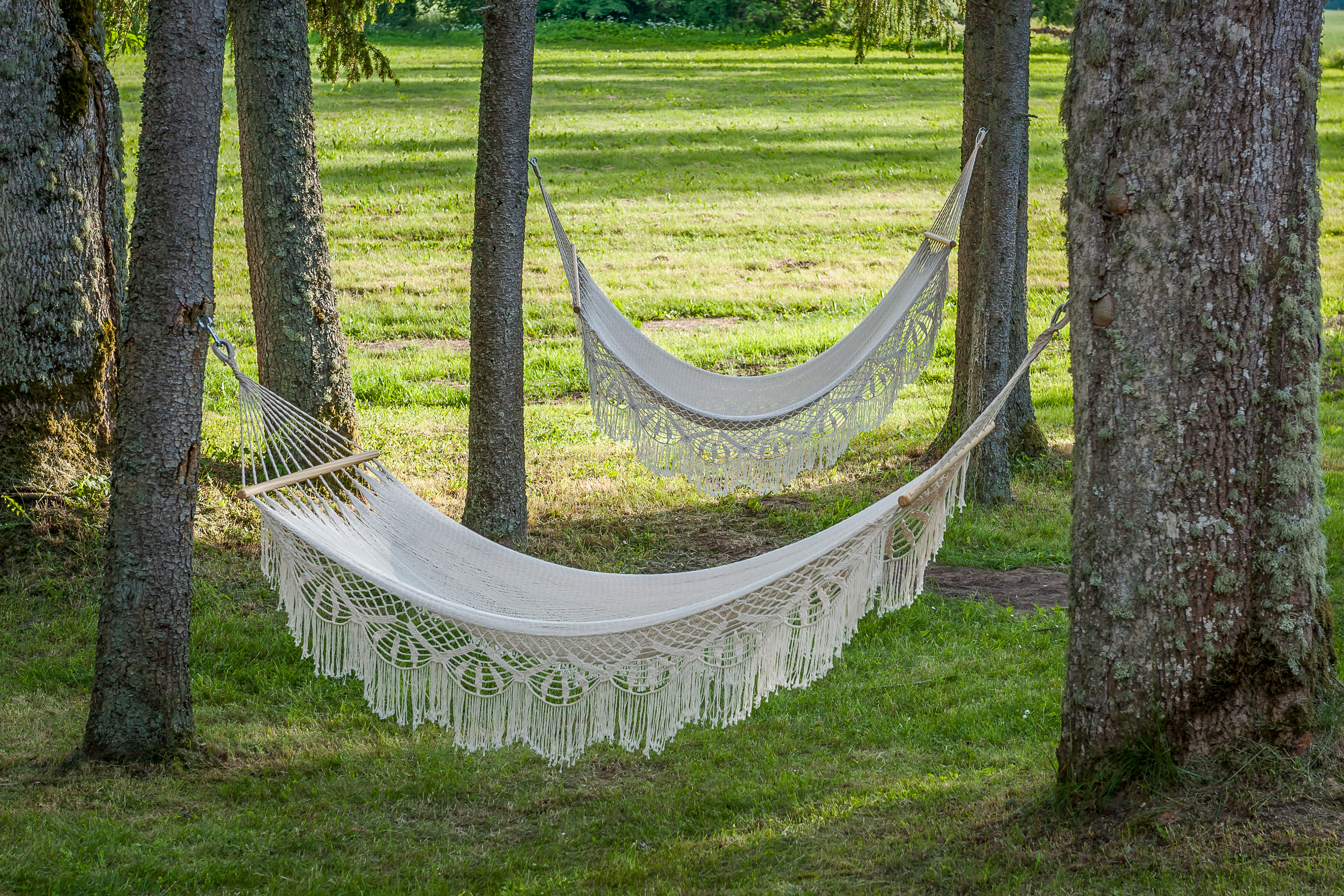 Two hammocks hung between trees in a large backyard.