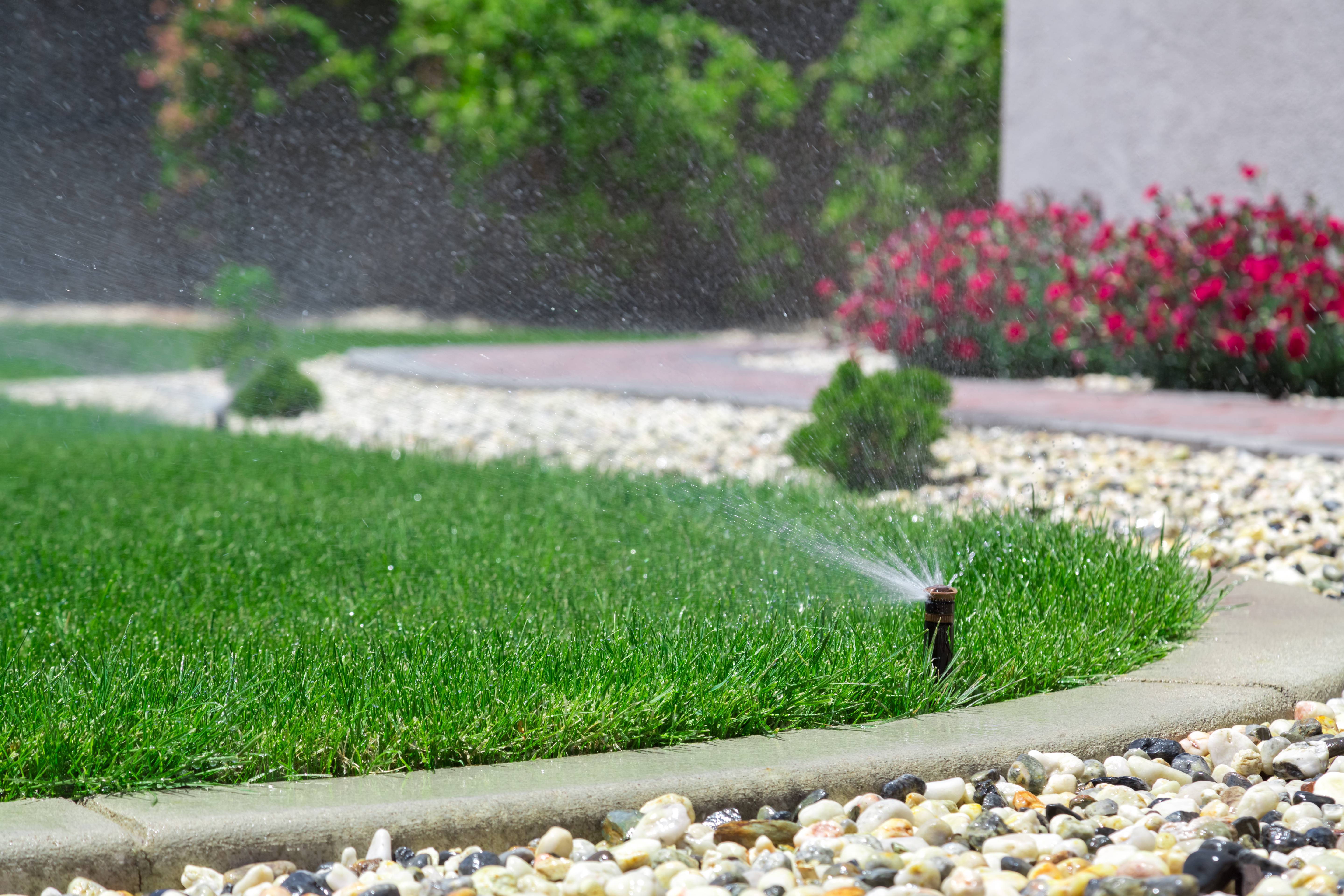 A sprinkler watering a green lawn