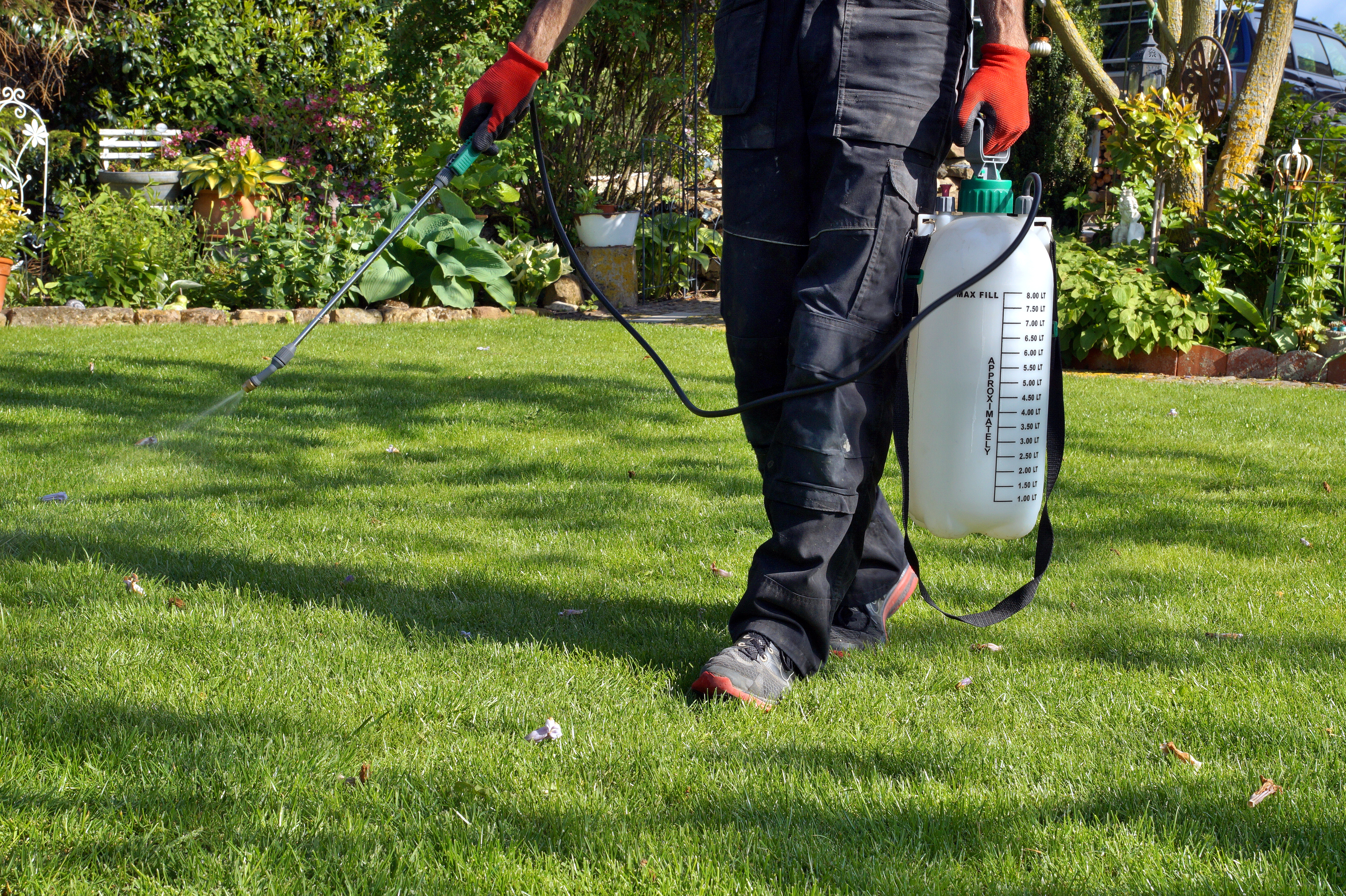 A technician treats a green lawn with chemicals