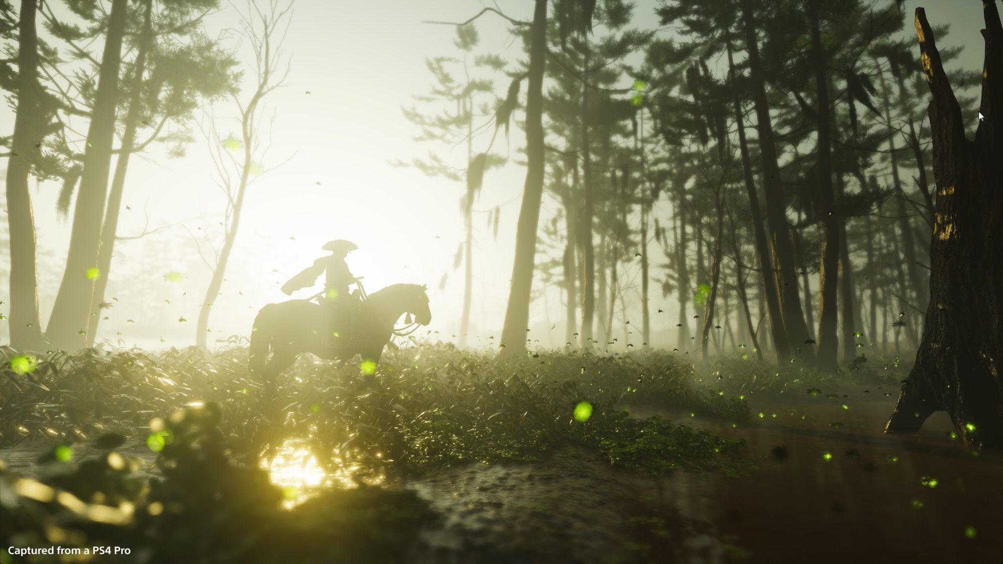 A samurai rides a horse through a forest with the sun behind them in Ghost of Tsushima