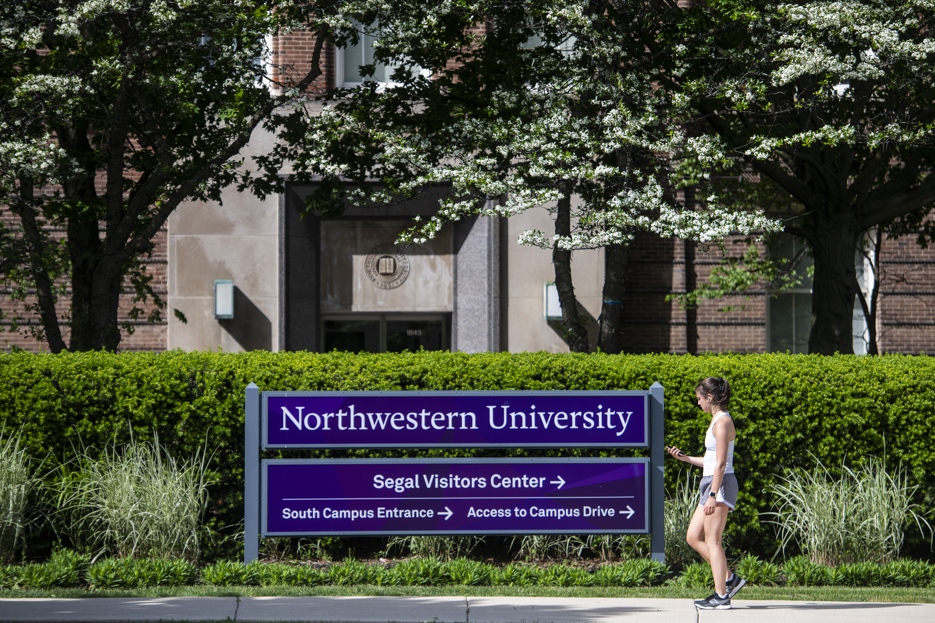 A woman walks on the campus of Northwestern University in Evanston.