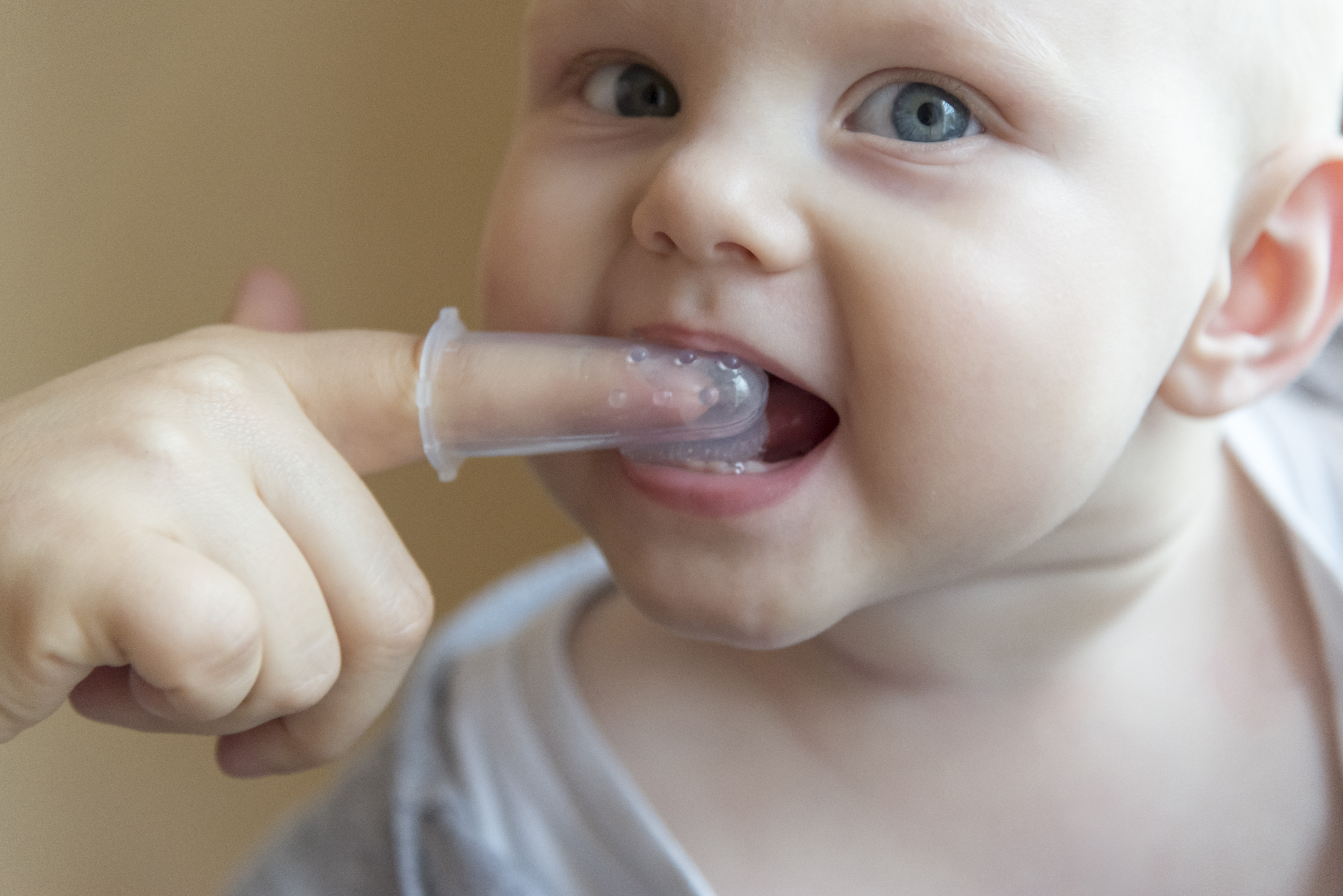 A baby’s first tooth should be greeted with a soft infant toothbrush that you use for a gentle cleansing after each meal. 