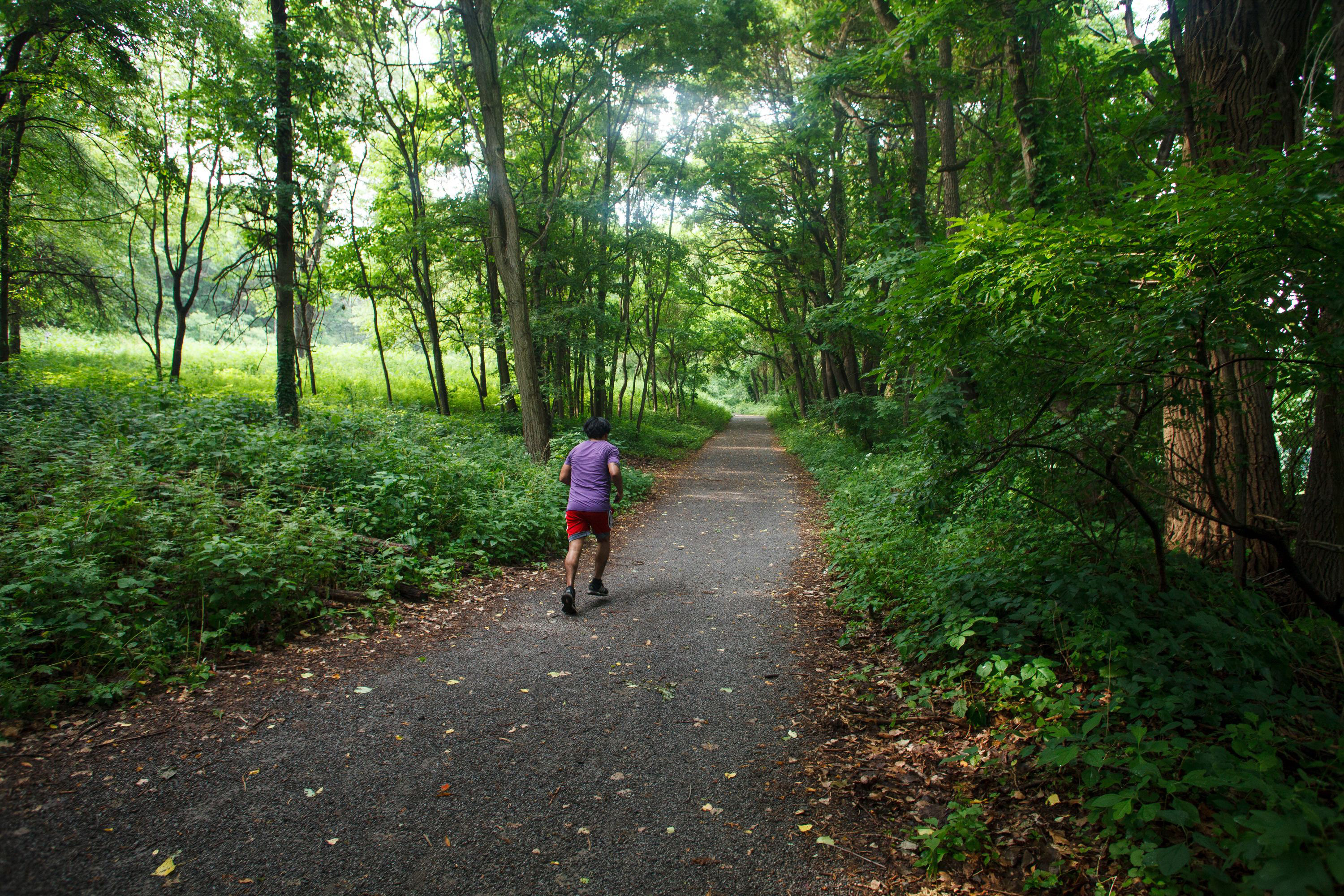 A man in a purple shirt and red shorts runs alone on a lush green running trail in Van Cortlandt Park.