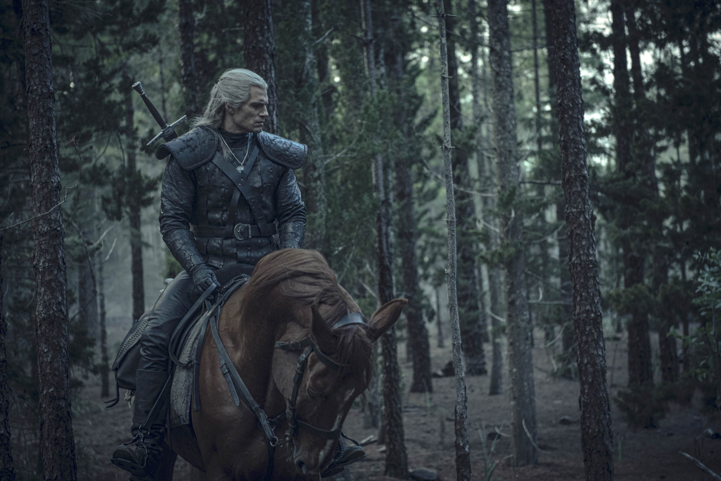 geralt rides roach the horse in the woods in the witcher on Netflix