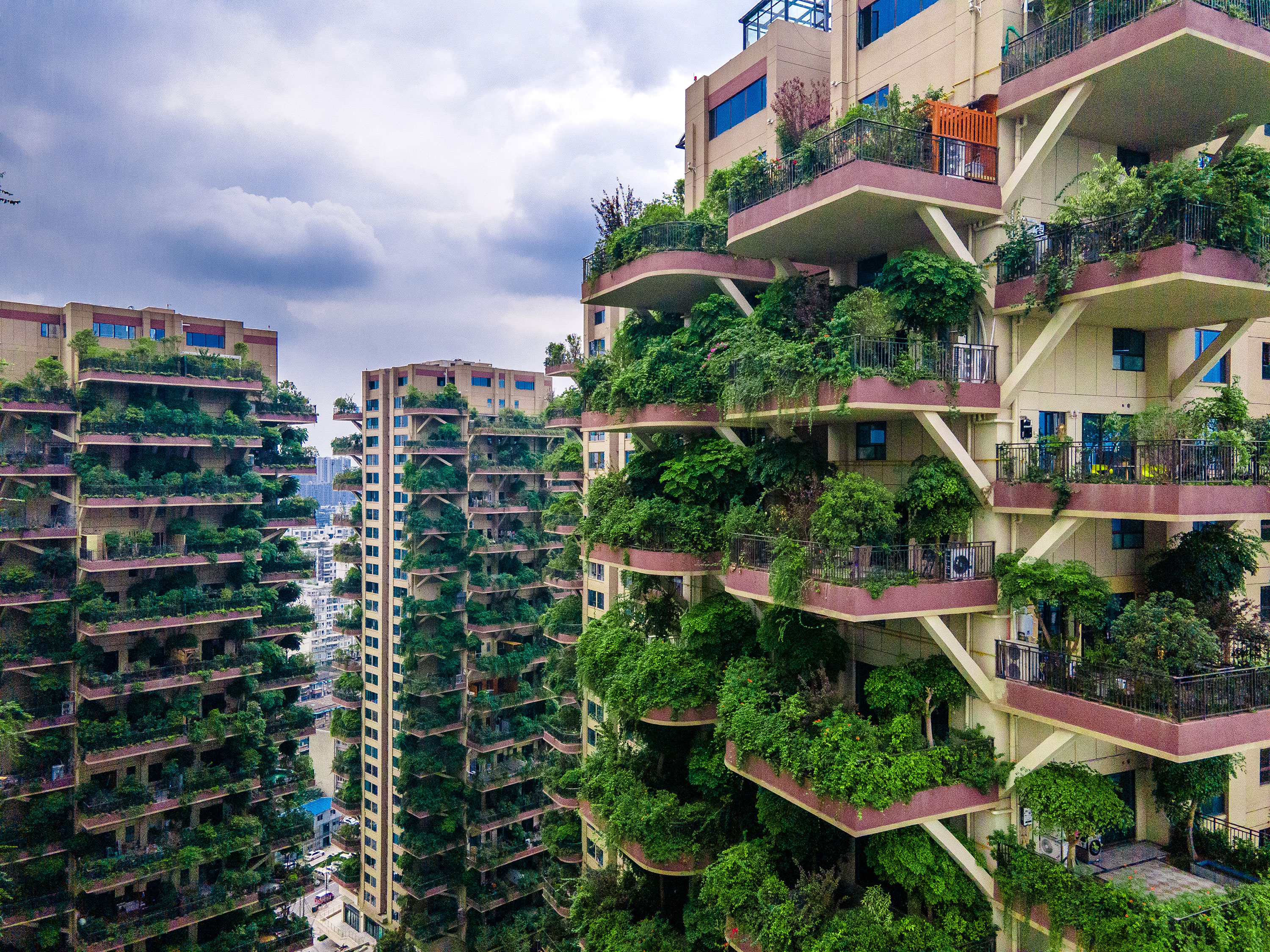 A series of concrete skyscrapers with lush balcony gardens covered in tropical plants
