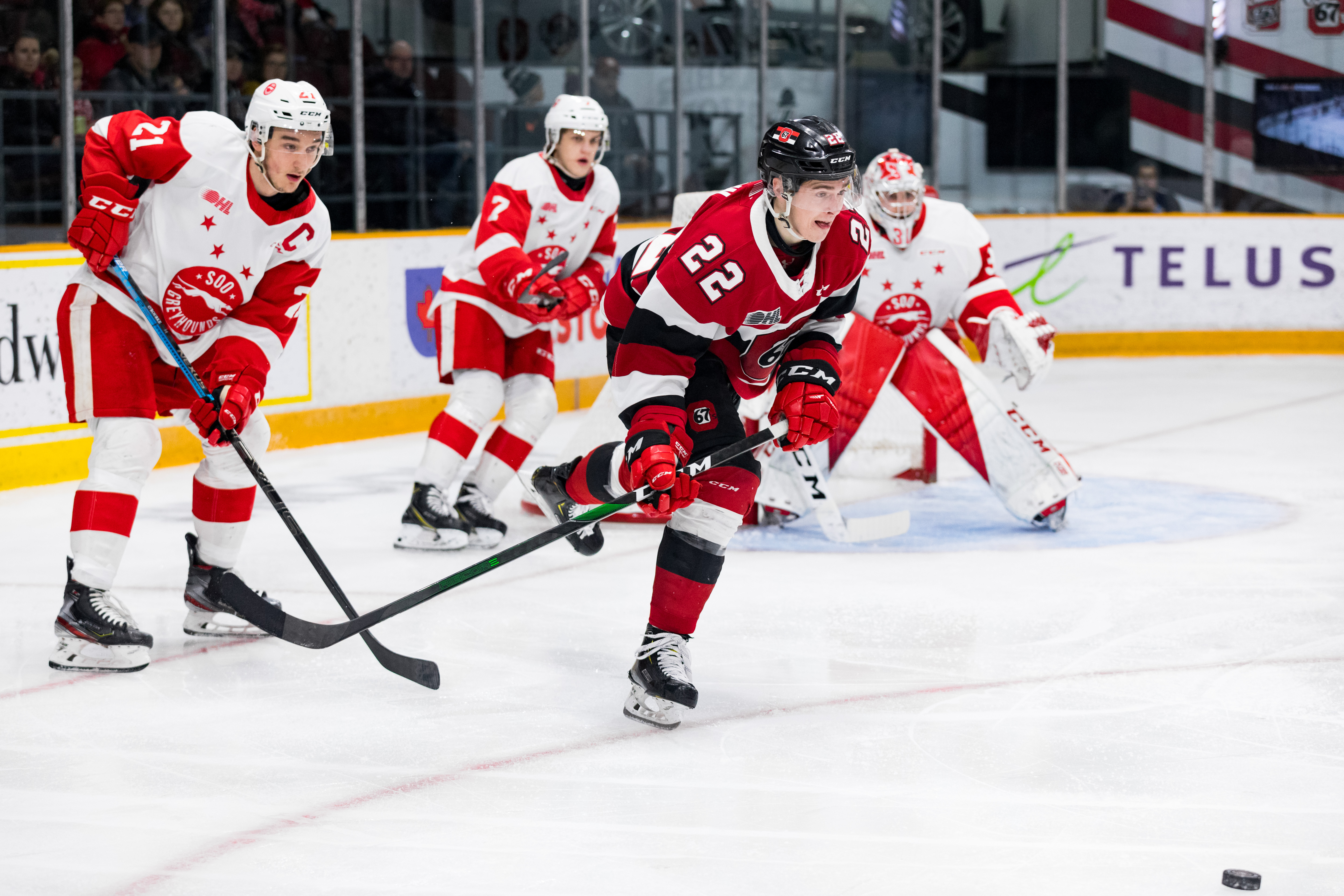OHL: FEB 02 Sault Ste. Marie Greyhounds at Ottawa 67’s