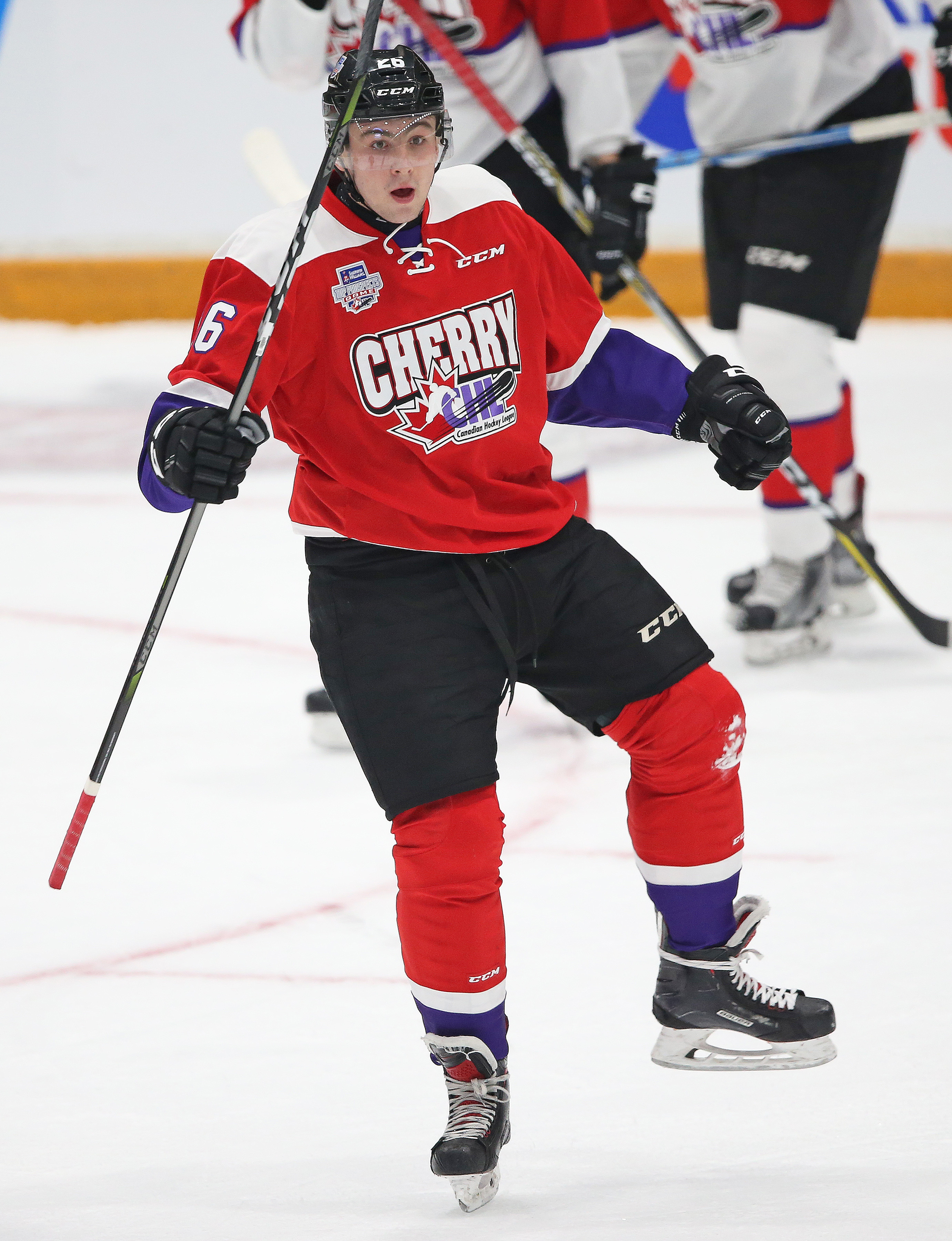 Sherwin-Williams CHL/NHL Top Prospects