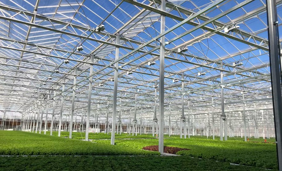 The 100,000-square-foot Gotham Greens greenhouse in Pullman.