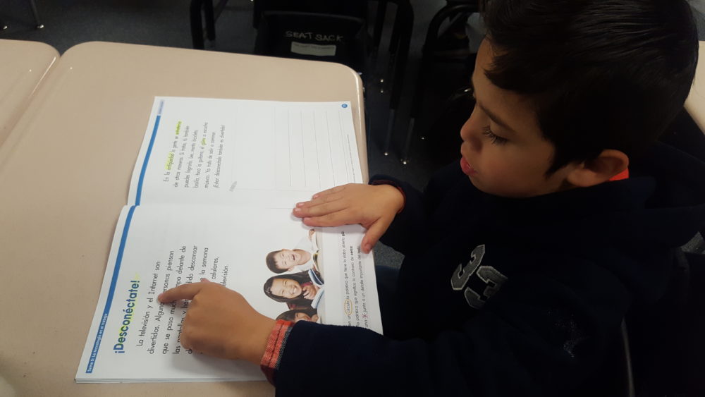A first-grade student uses his finger to guide himself as he reads in Spanish in a biliteracy classroom in Adams 14.