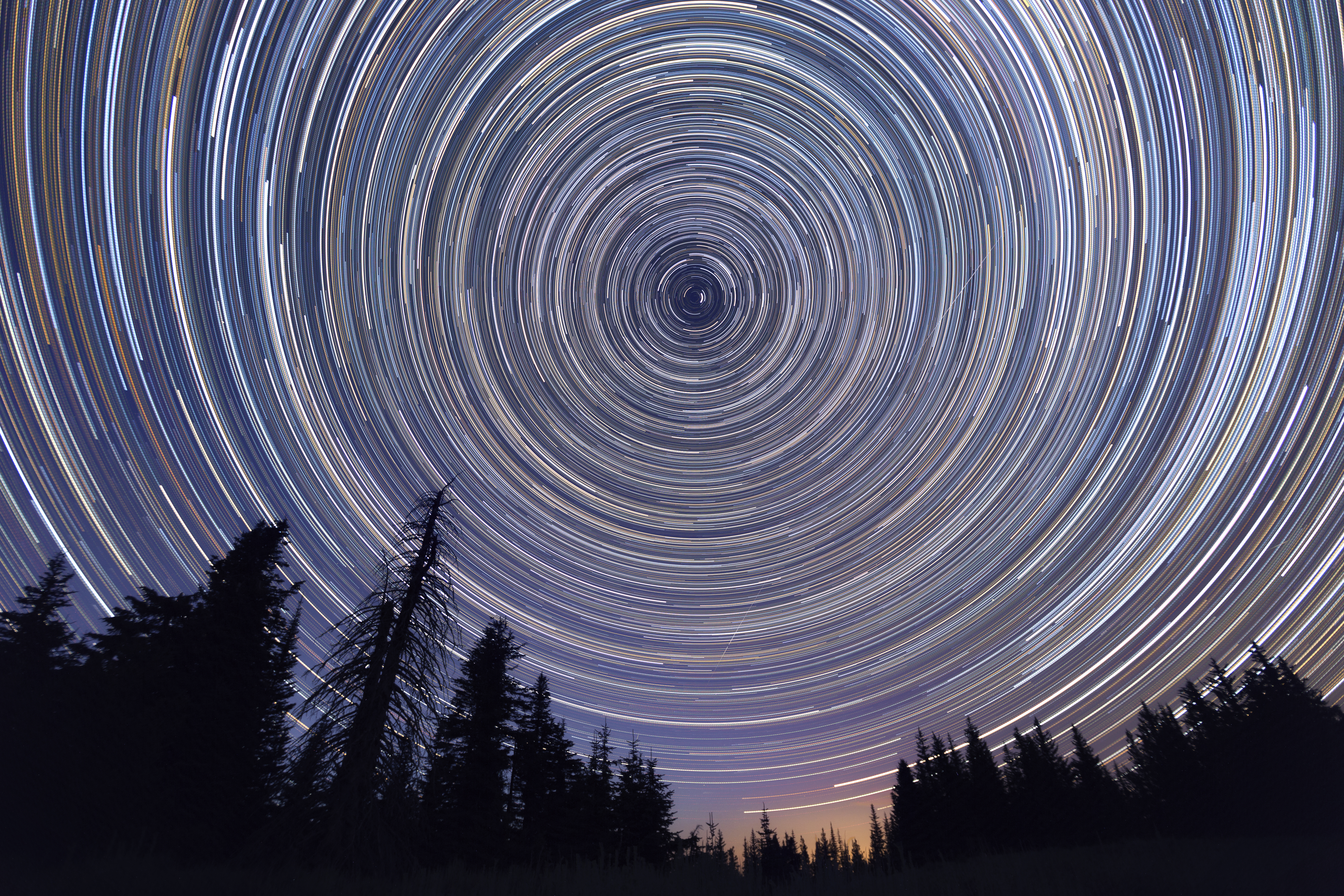 A long-exposure photo of stars in rotation over a forest, giving the effect of concentric circles of light.