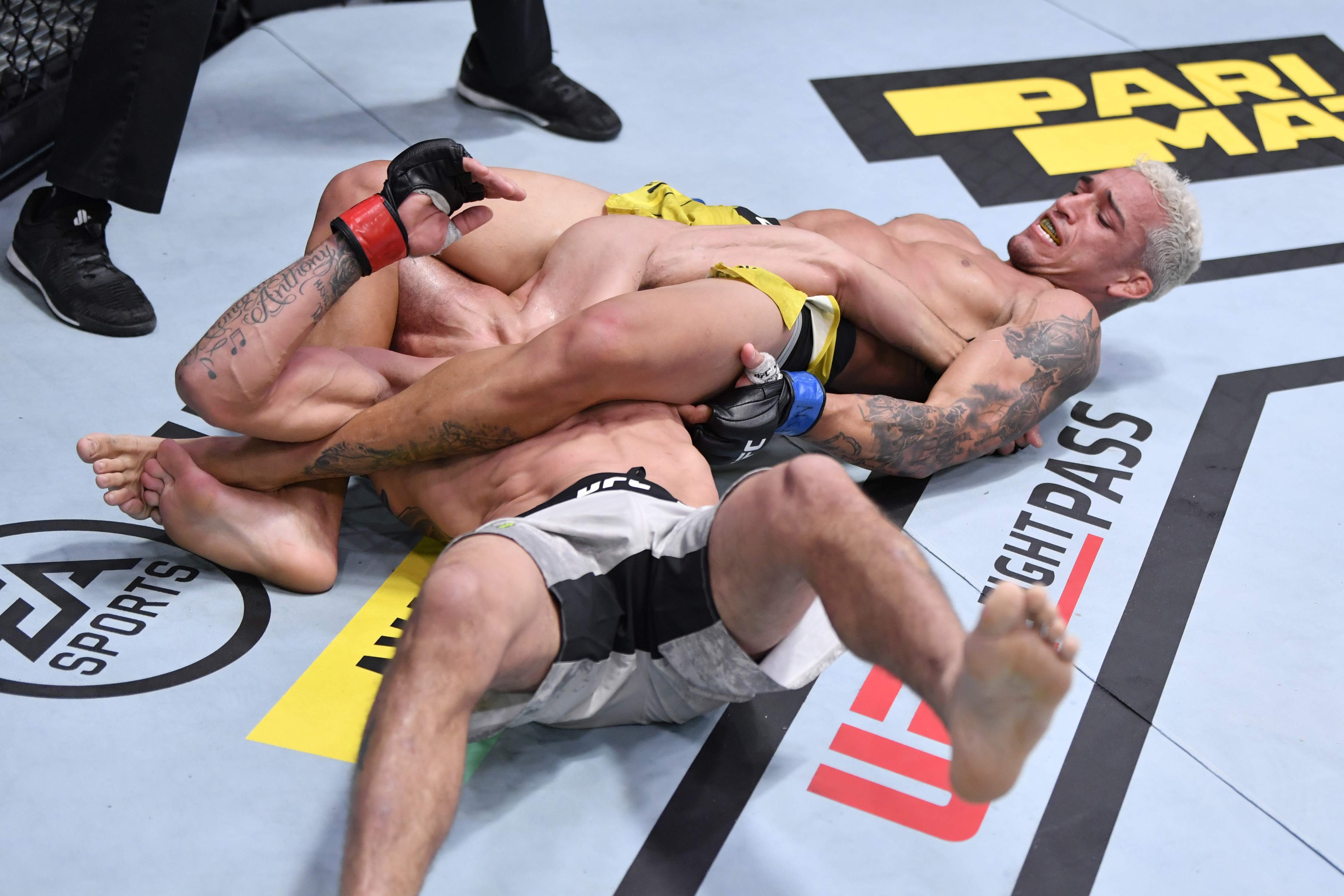 UFC 256: Ferguson v Oliveira
