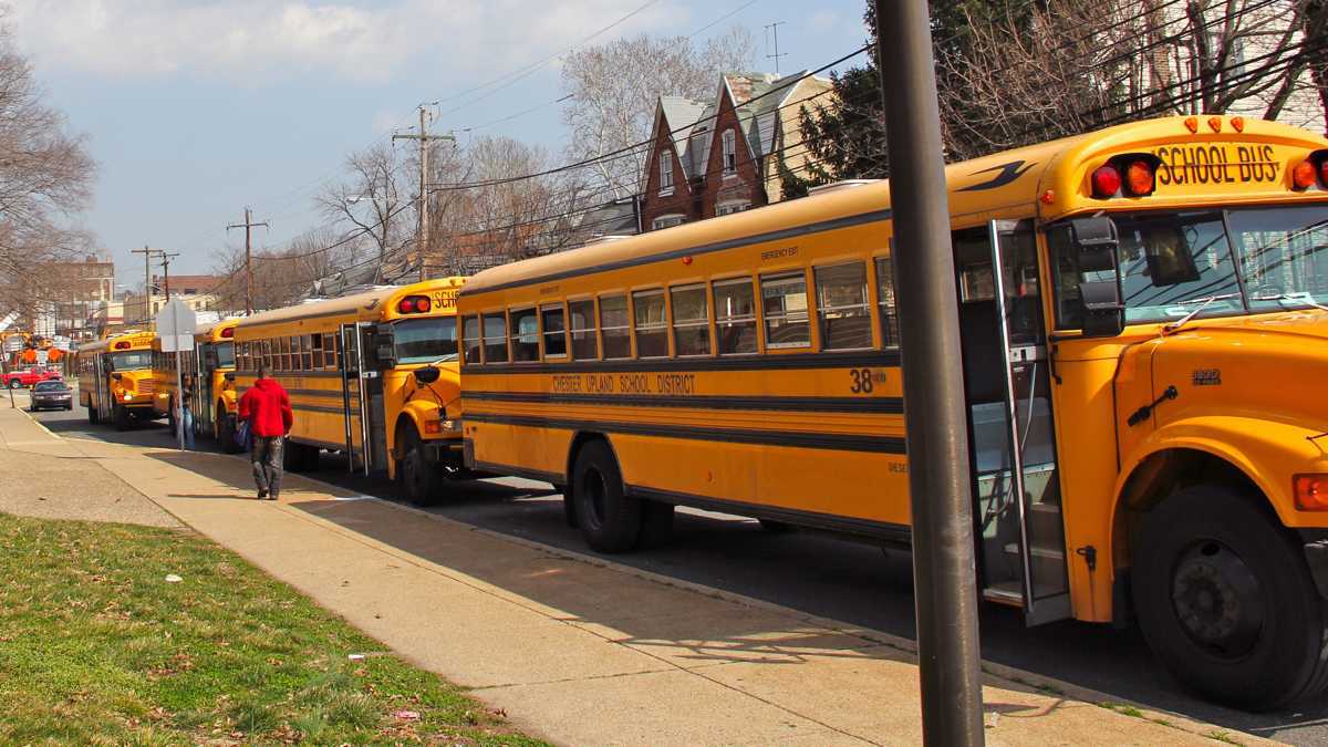 A line of yellow school buses.