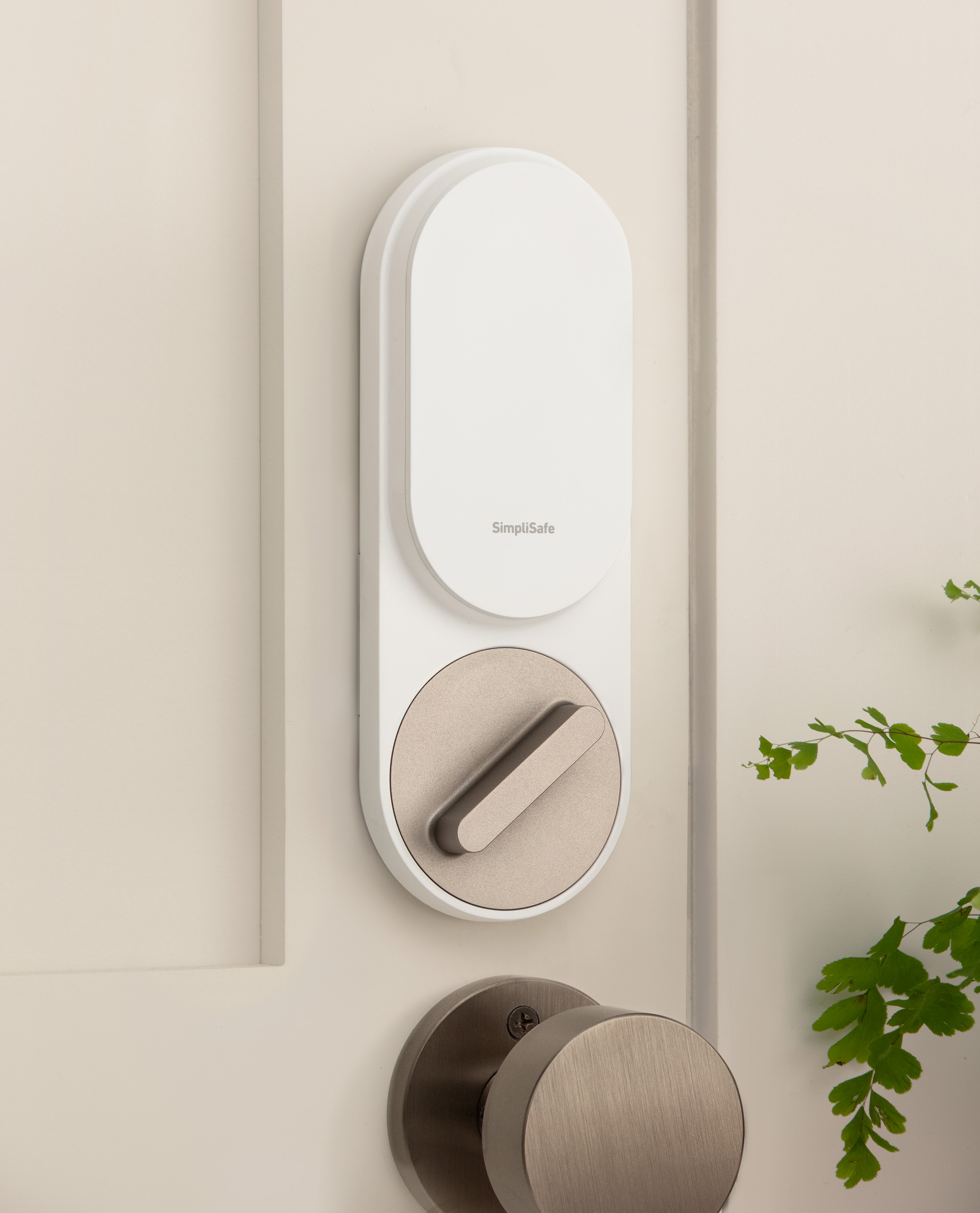 A SimpliSafe smart lock above a door knob on a white door with a green fern nearby.