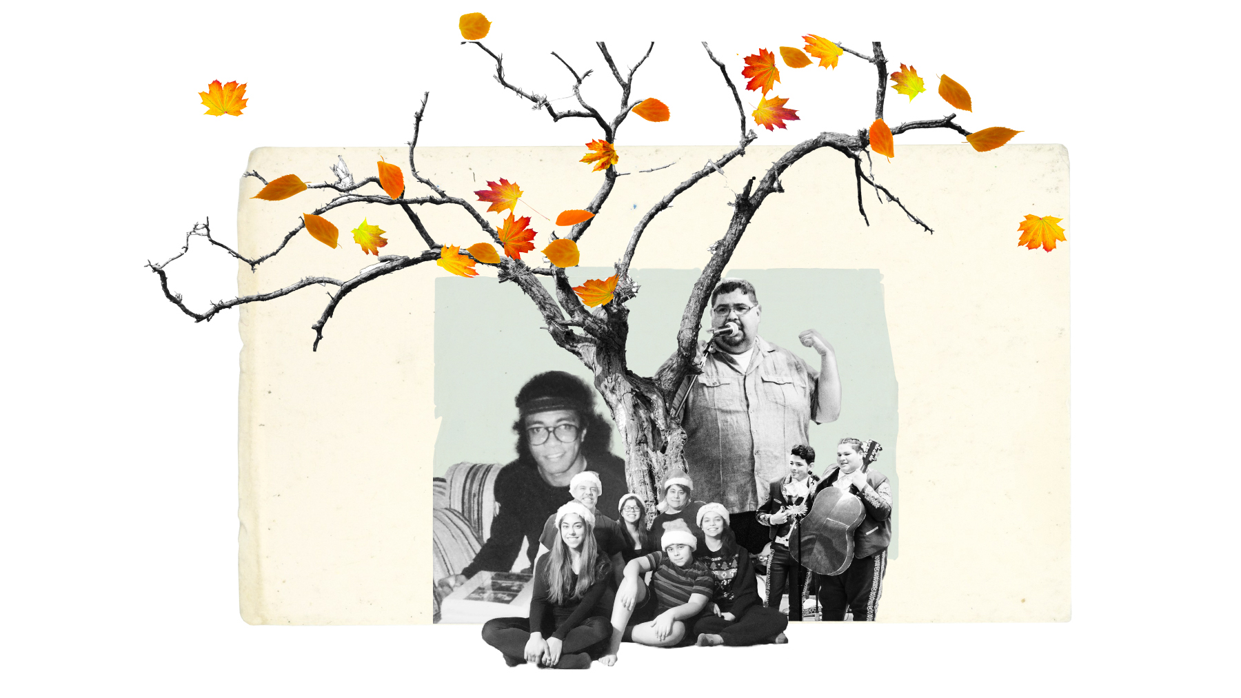 Photo collage of people under a tree with a few falling leaves.