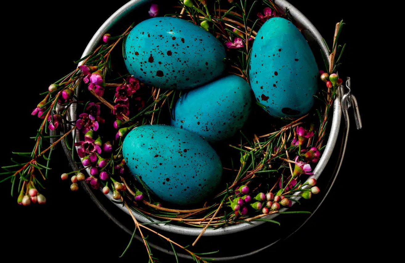A close up of a nest laced with magenta heather. In the center are bright Robin’s egg blue, speckled candy eggs