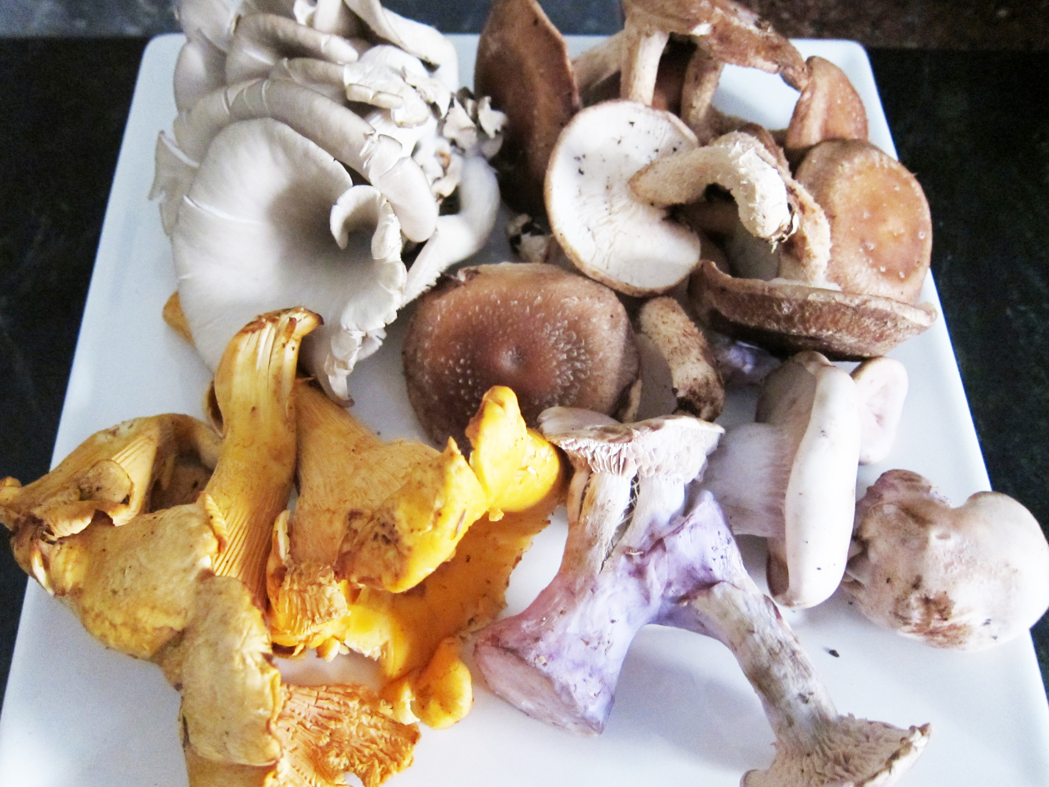 Several different mushrooms in different shapes, blue, orange, white, and brown with some dirt sticking to the ends.