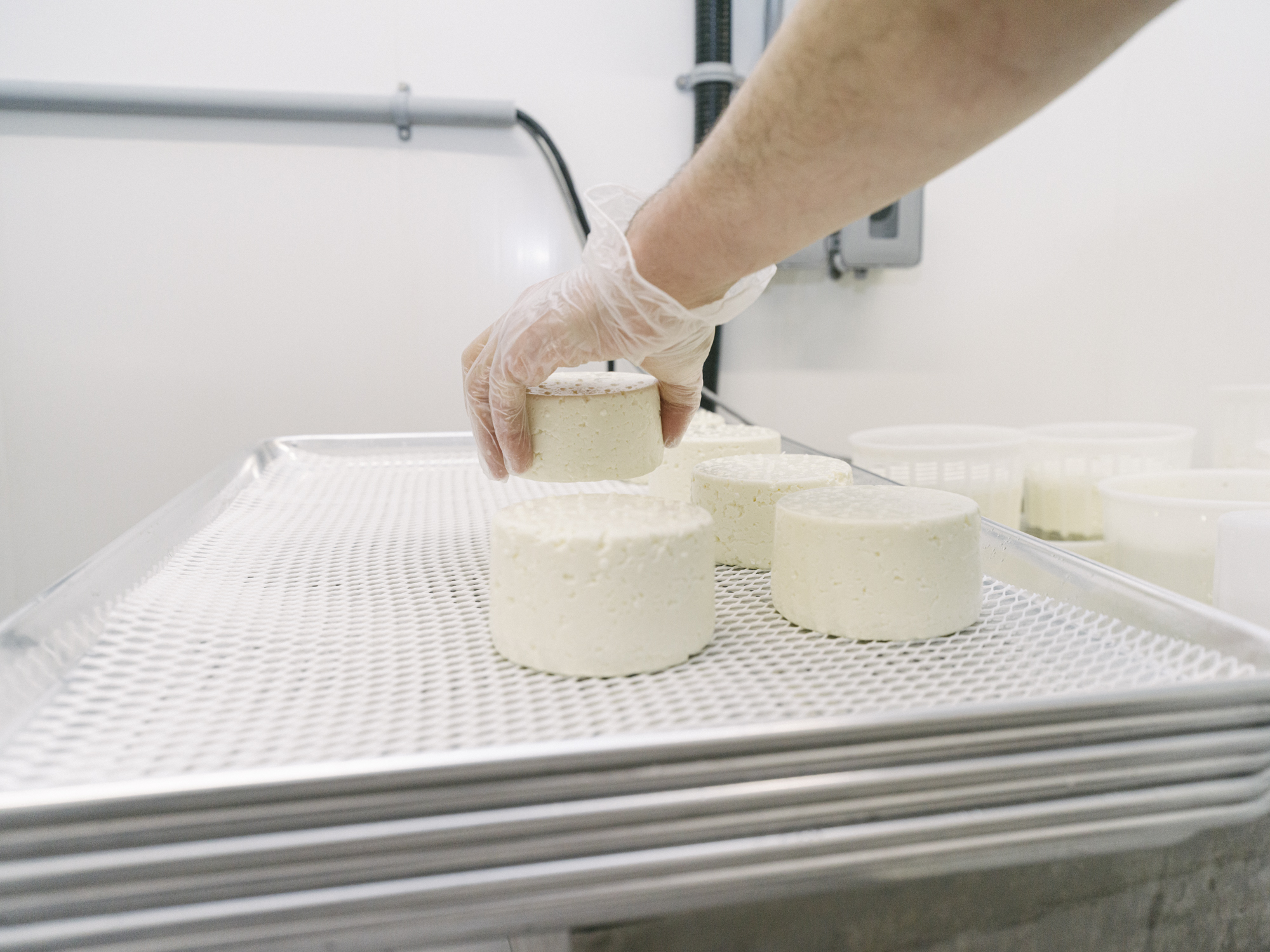 a hand placing fresh white cheese rounds onto a tray to dry