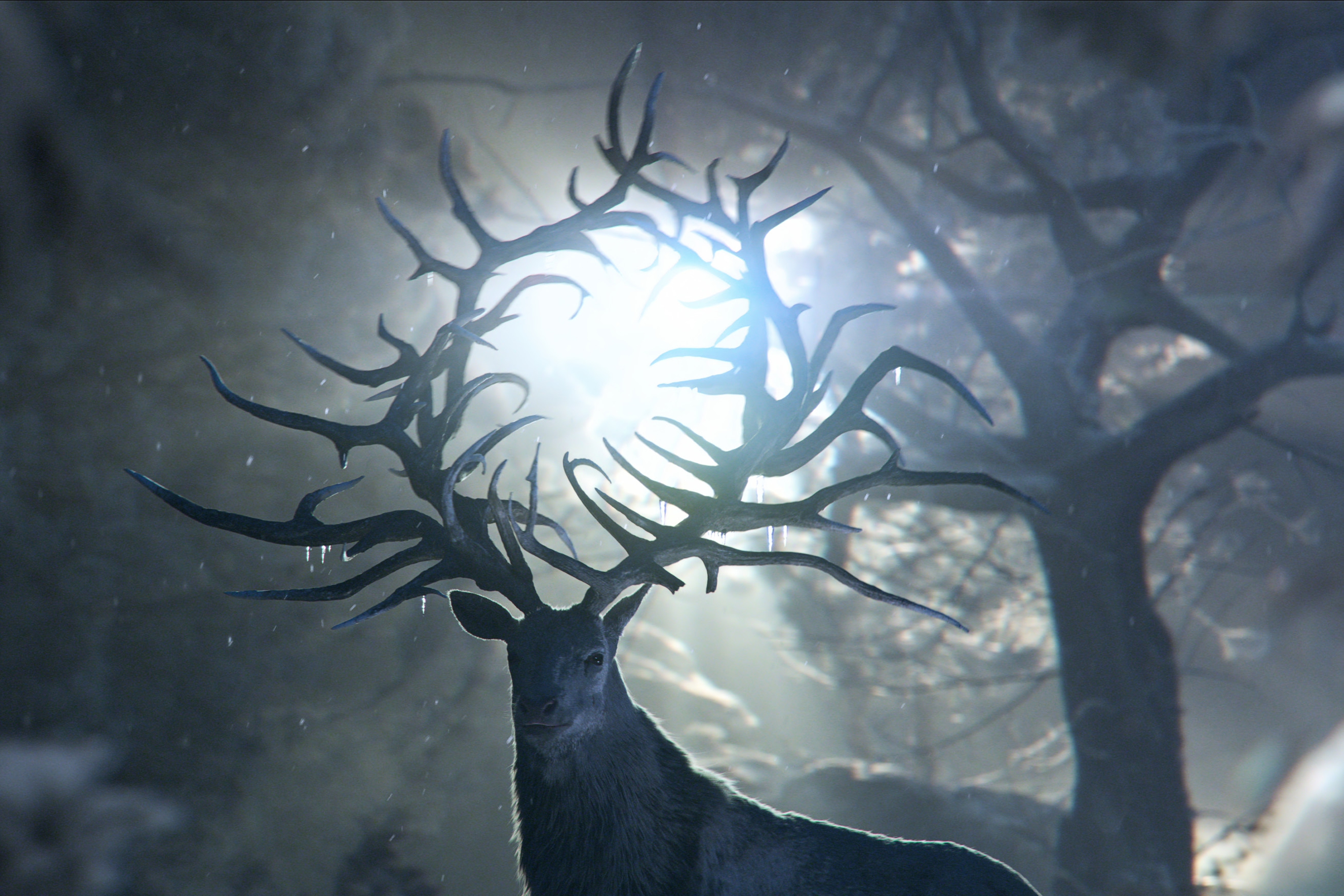 A stag with elaborate antlers in front of trees and an eerie glow.
