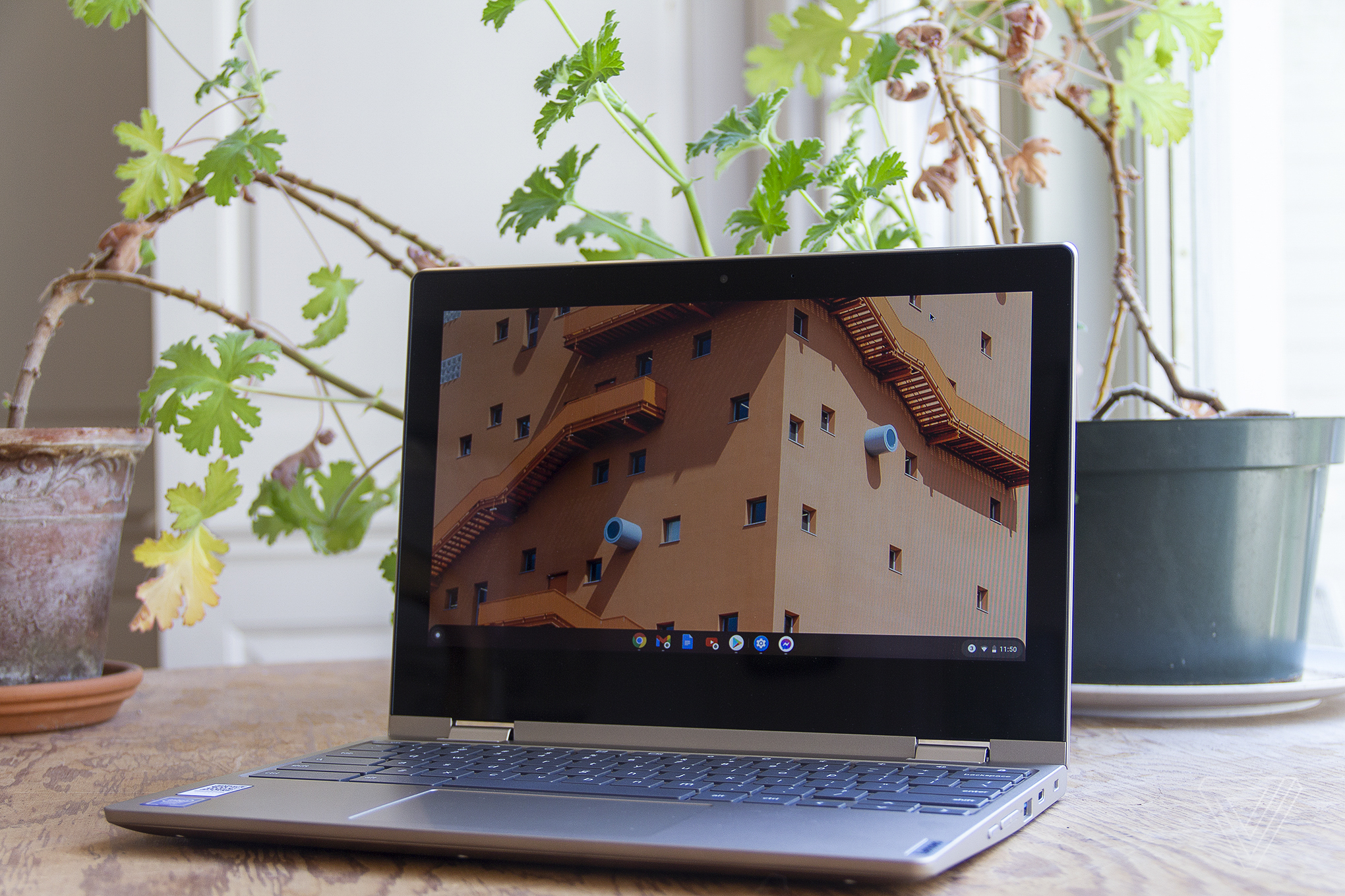 The Lenovo Ideapad Flex 3 Chromebook sits open on a table in front of a window and two houseplants. The screen displays the upper windows of a large building.