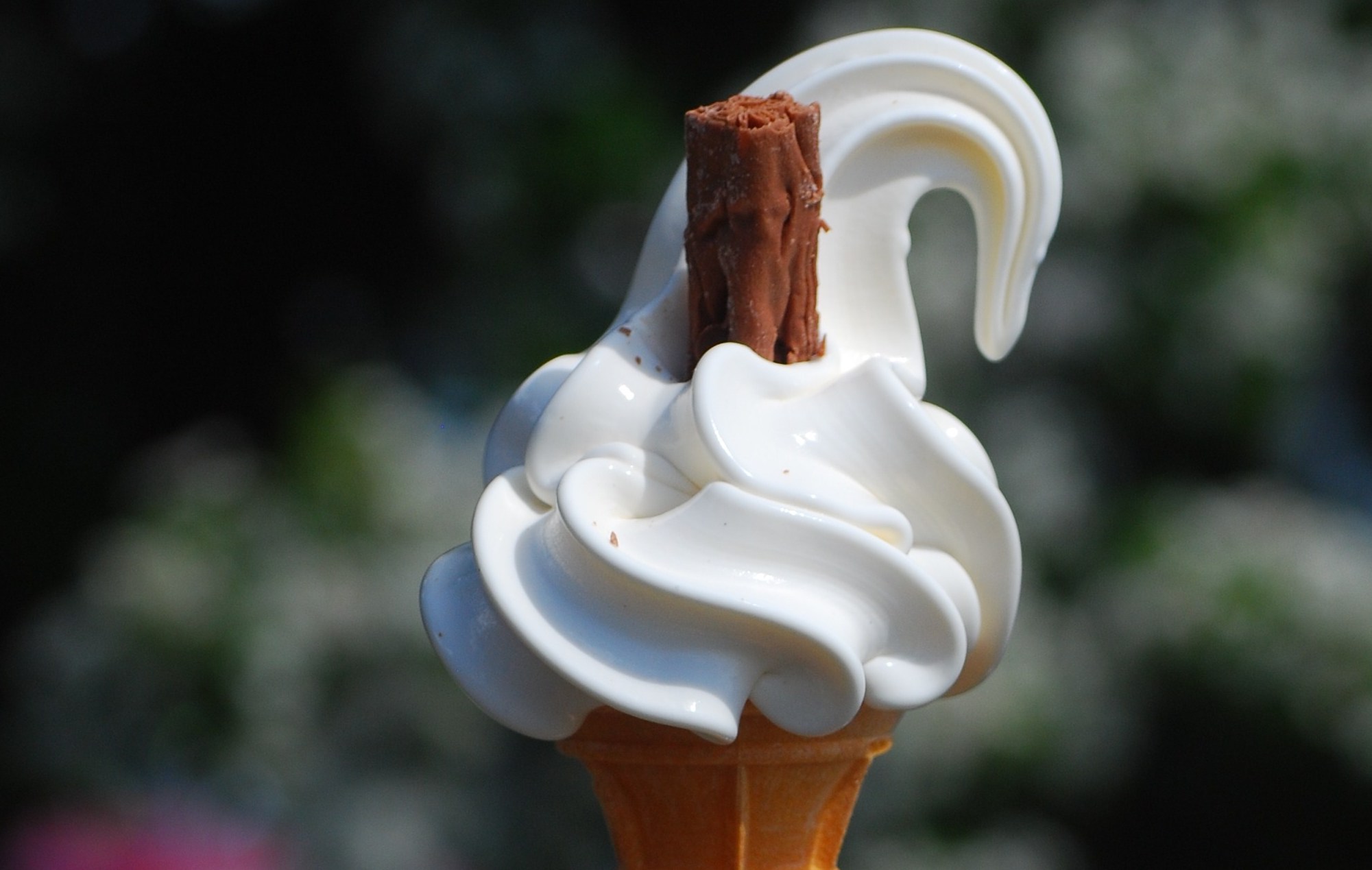A 99 Flake ice cream, consisting of vanilla soft serve with a half-size chocolate flake stuck in it