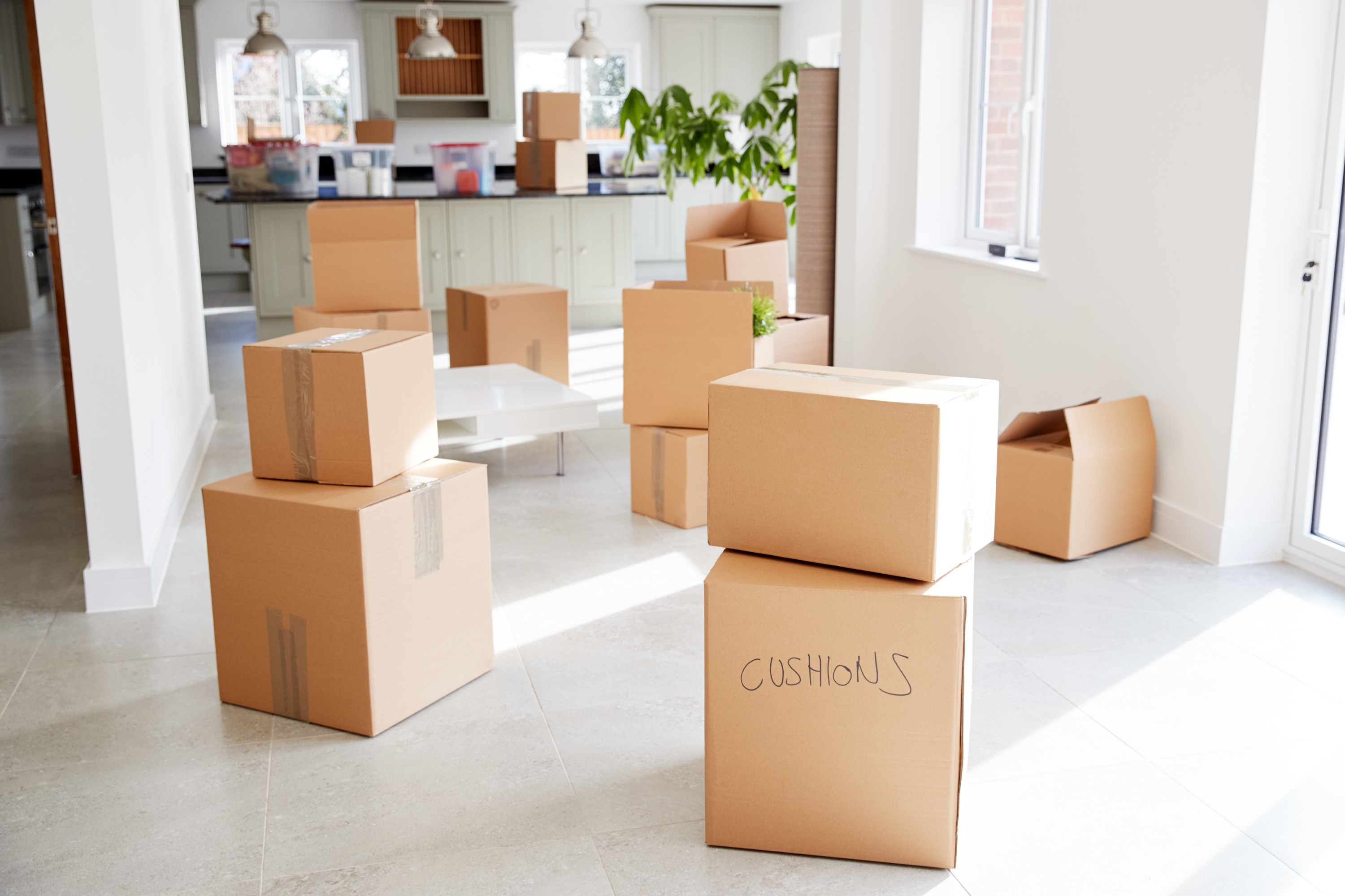 Brown cardboard moving boxes in a bright kitchen area with white walls and green plants.