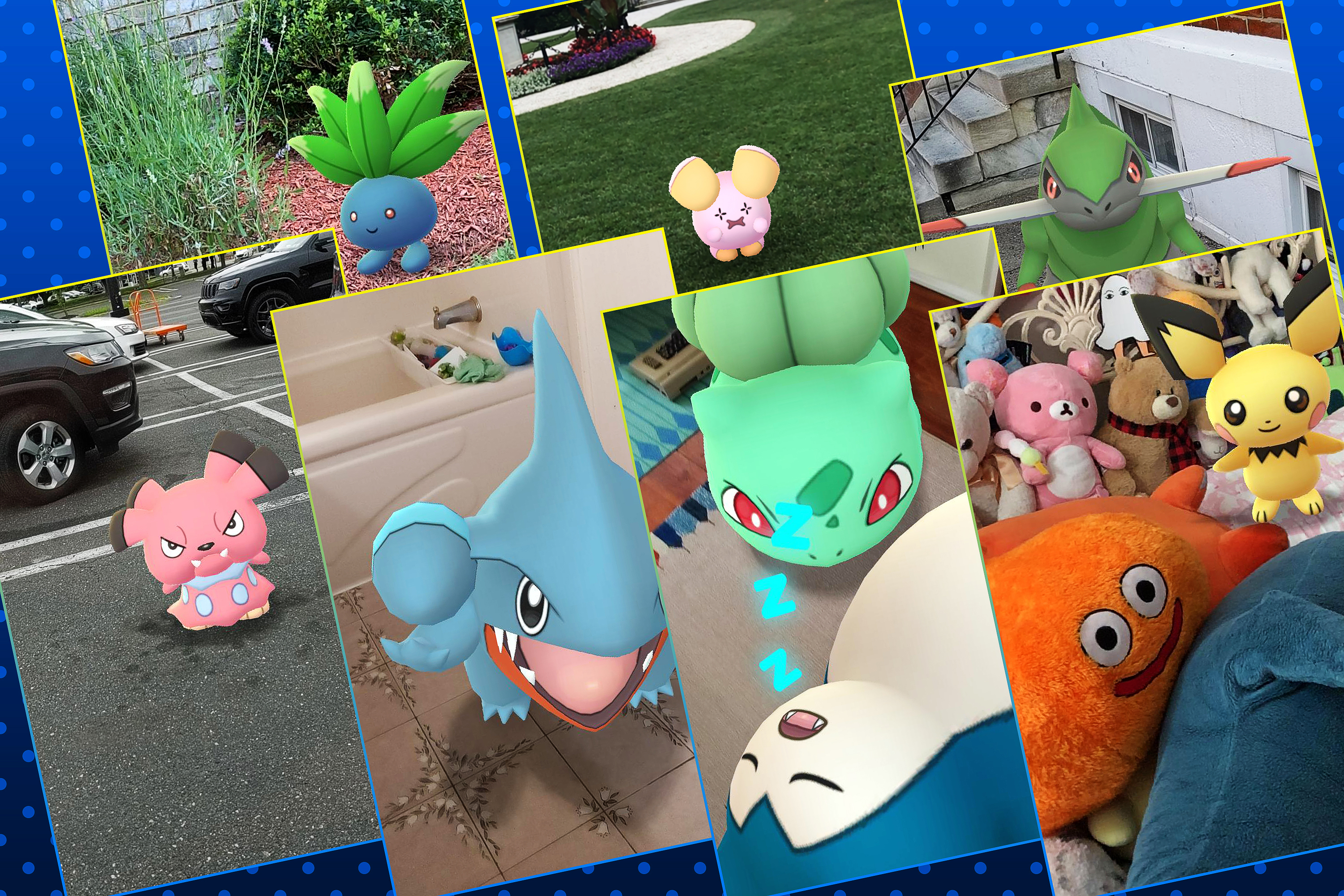 A grid featuring different photos taken in Pokémon Go
