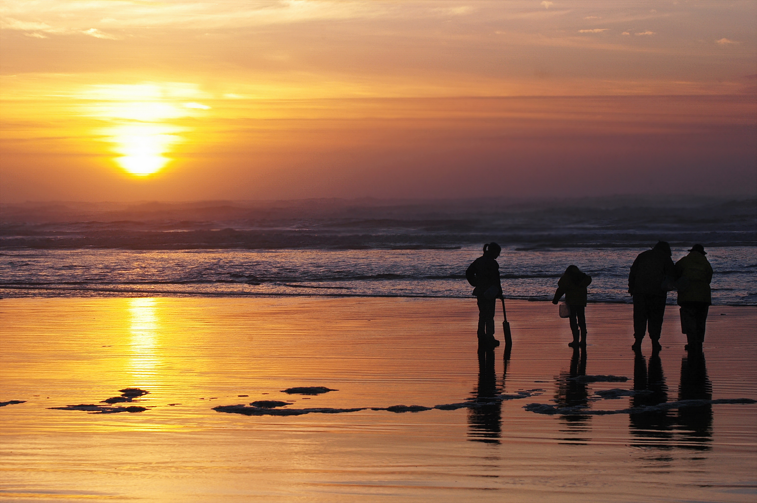 A group of four people are seen in the distance on a Washington beach, digging for razor clams at sunset.