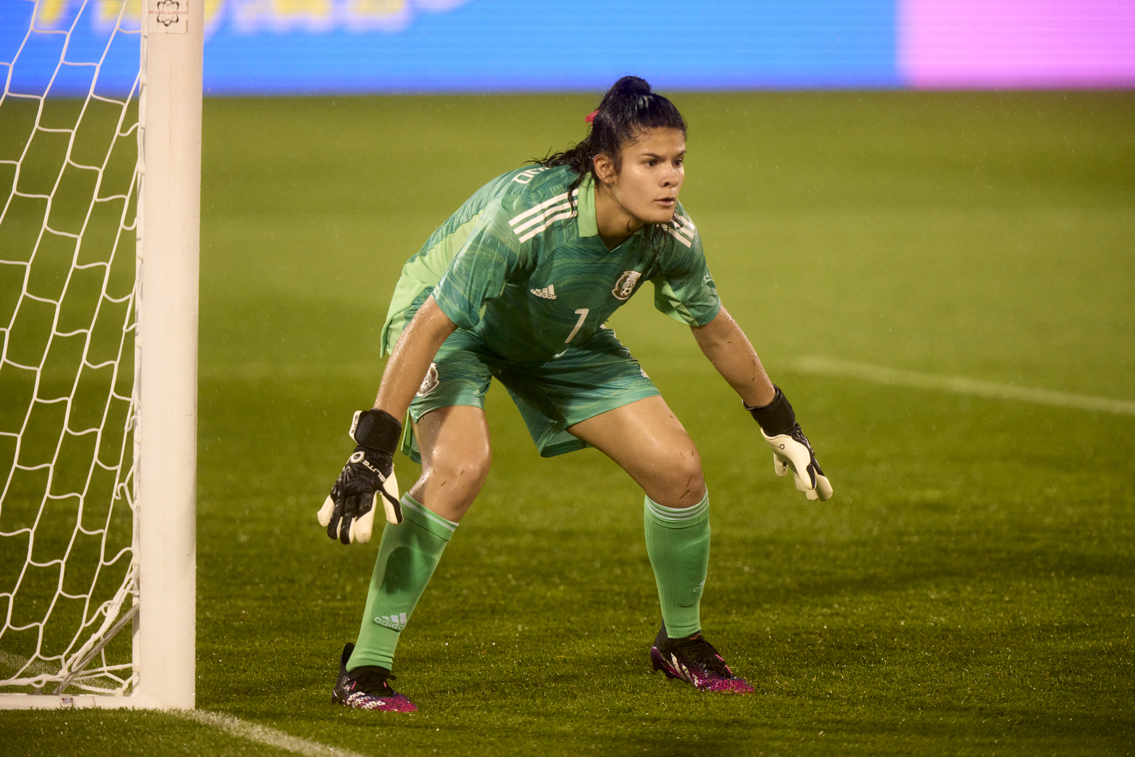 Emily Alvarado has been the default starting goalkeeper for México.